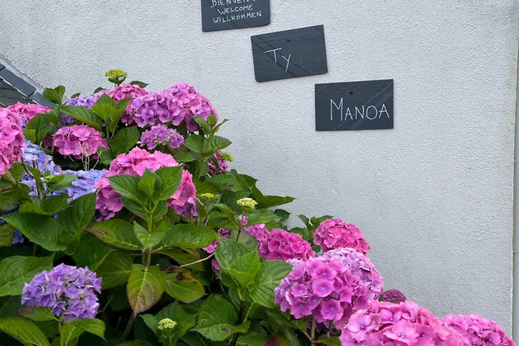 TY MANOA - Sfeer