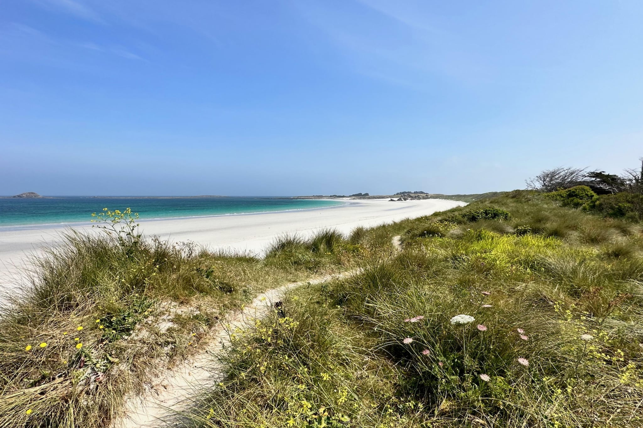 TY BULLE - Gebiete Sommer 5 km