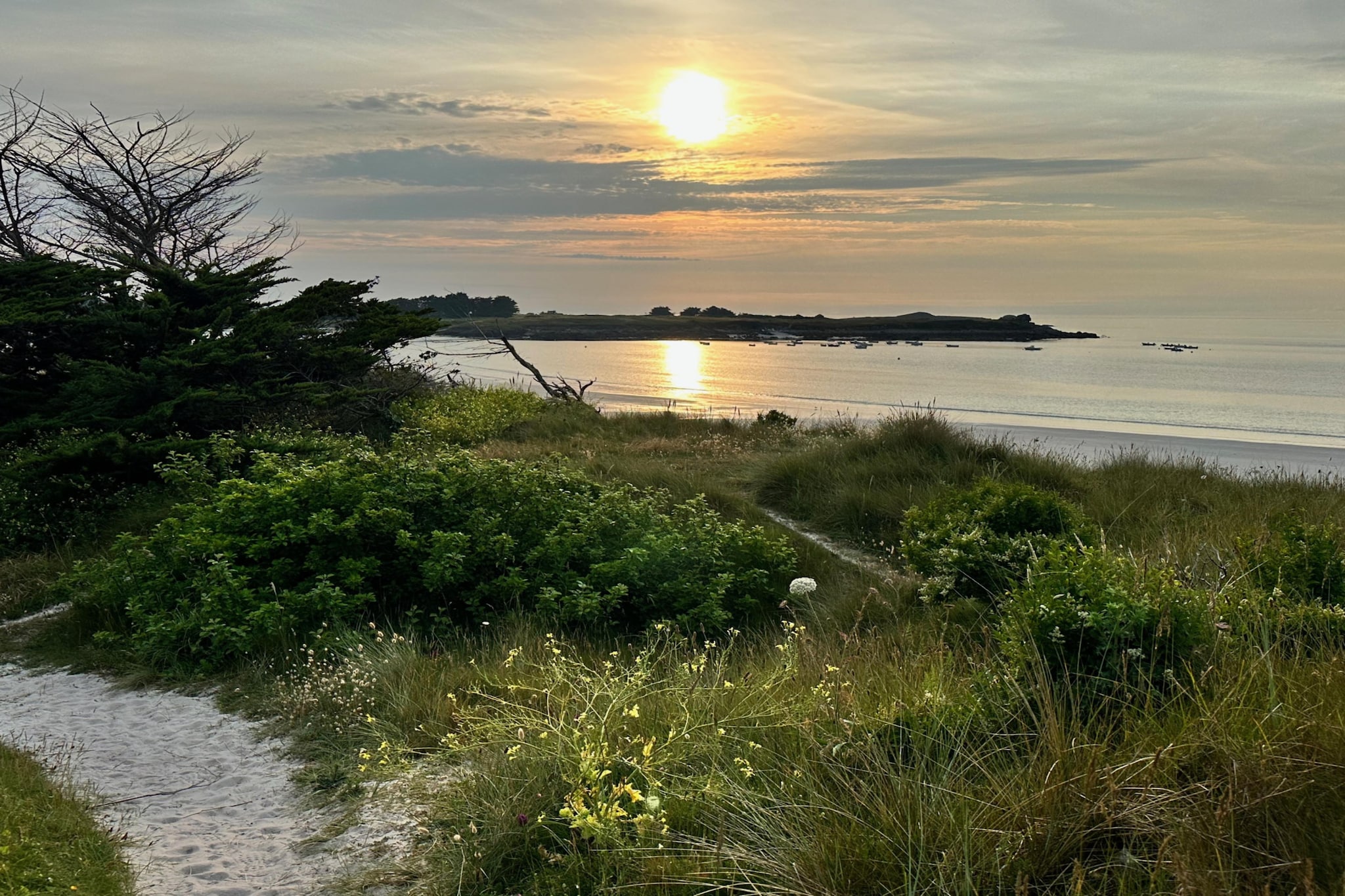 TY BULLE - Gebiete Sommer 5 km