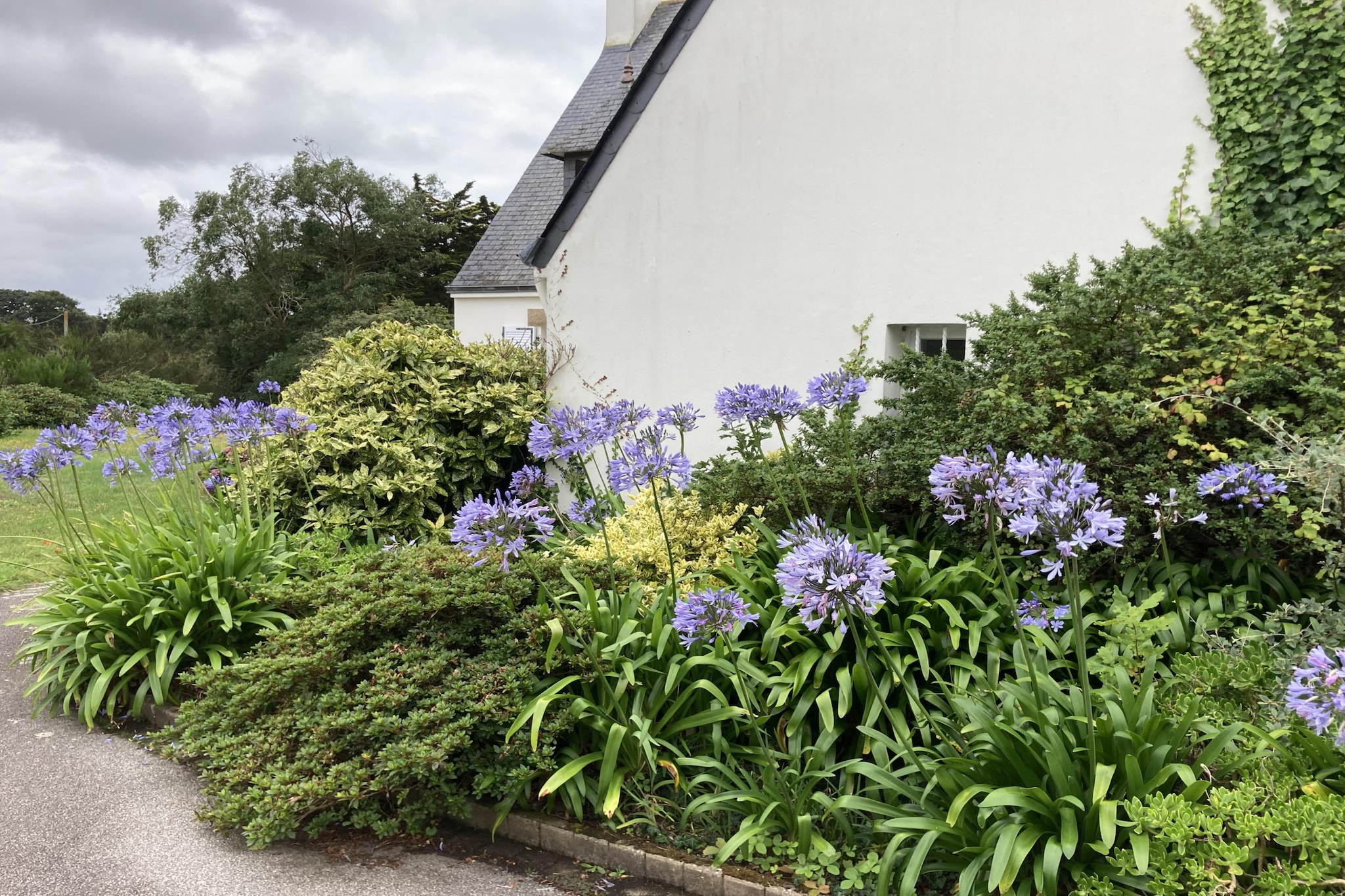 KER ILDUT - Exterior in summer