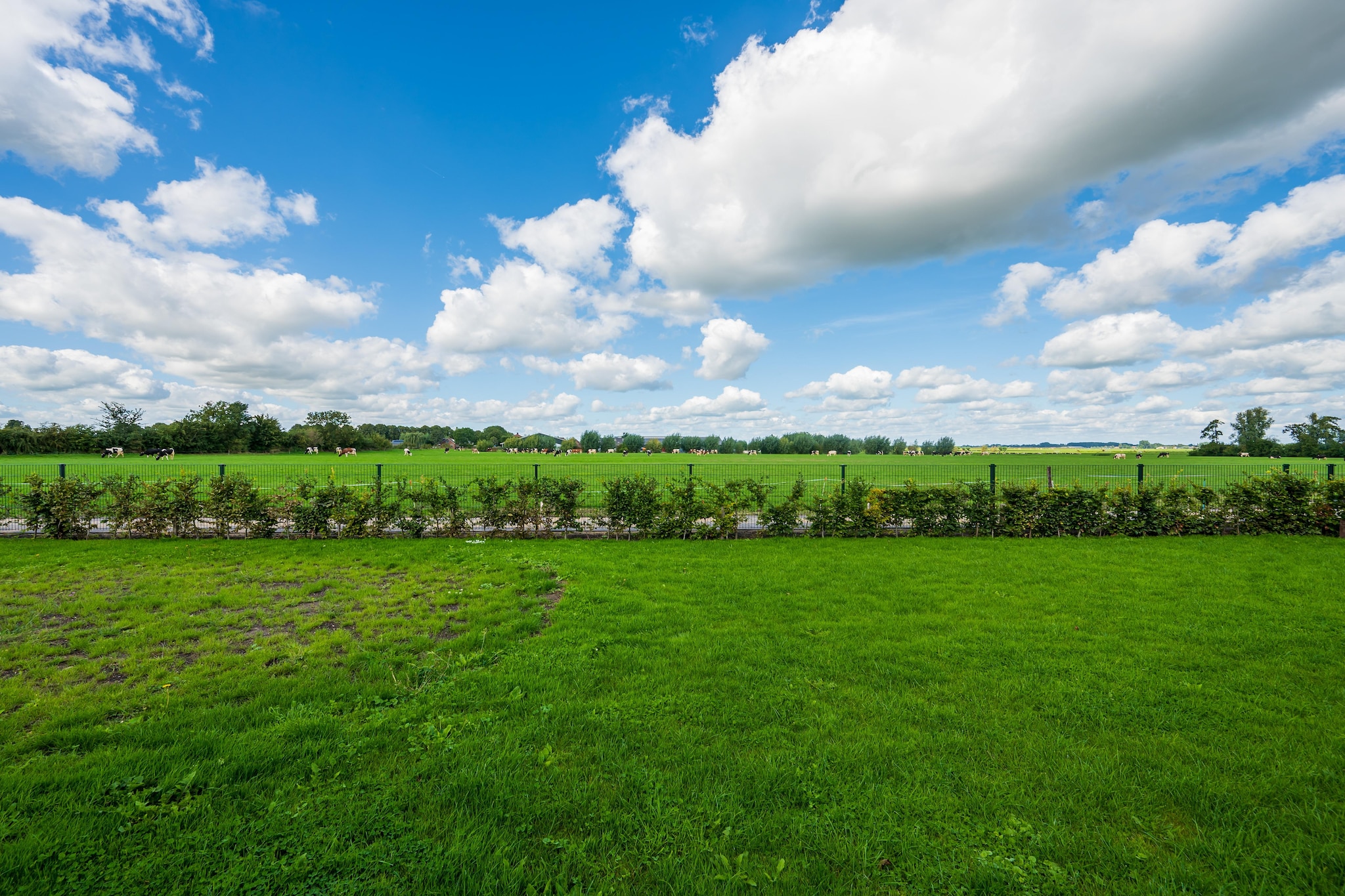 The New Barn - Tuinen zomer