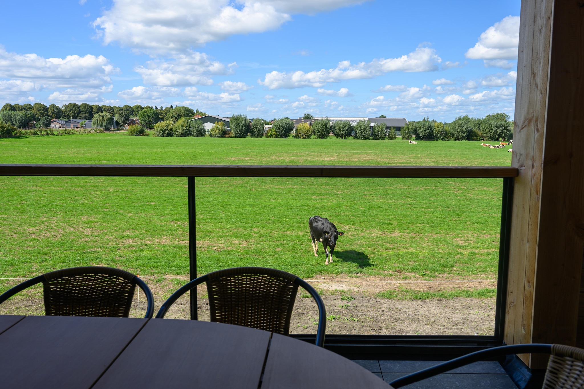 The New Barn - Uitzicht zomer