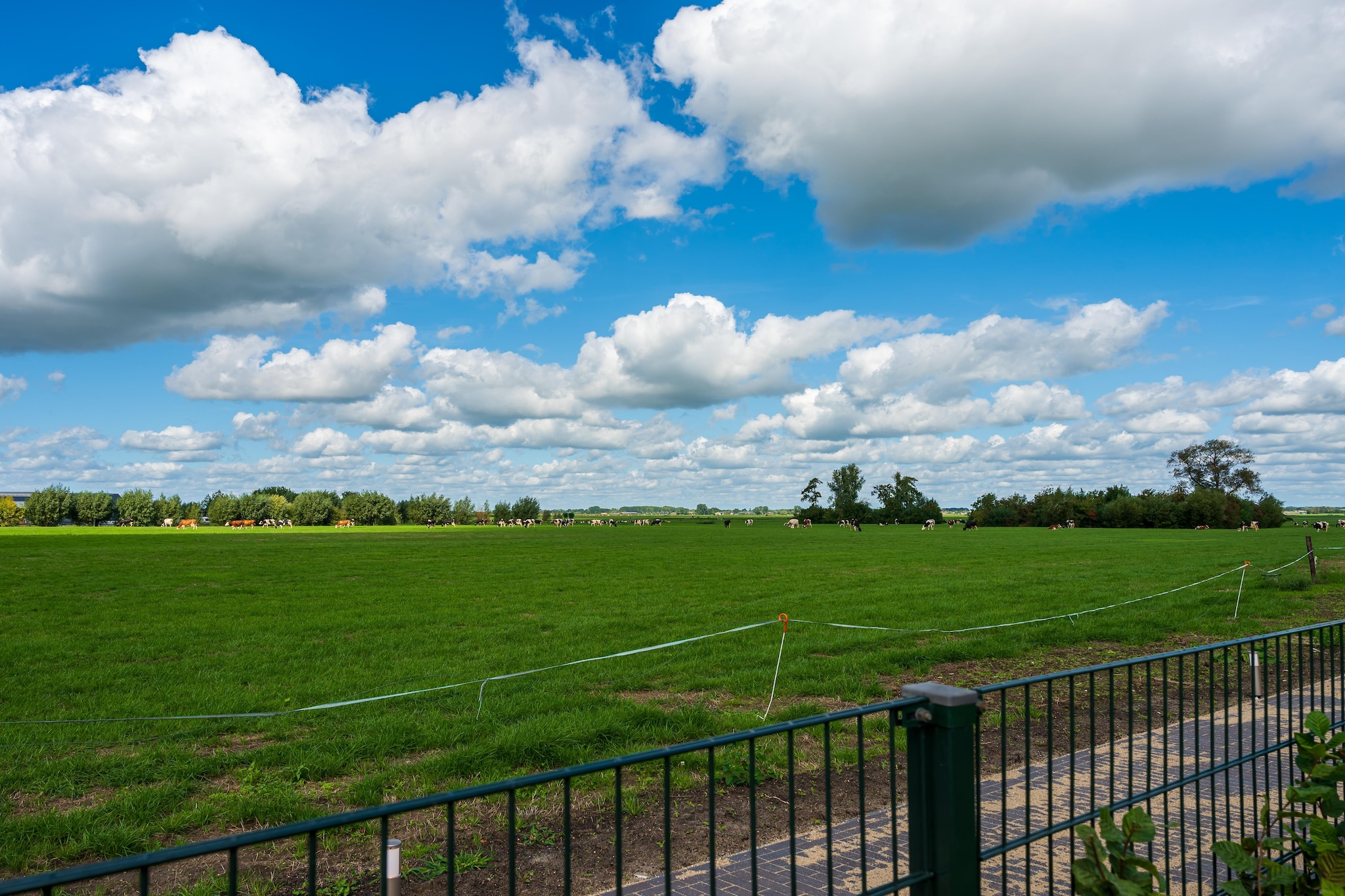 The New Barn - Tuinen zomer