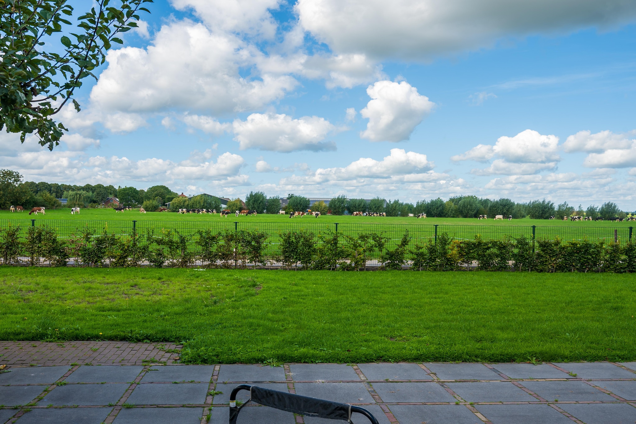 The New Barn - Tuinen zomer