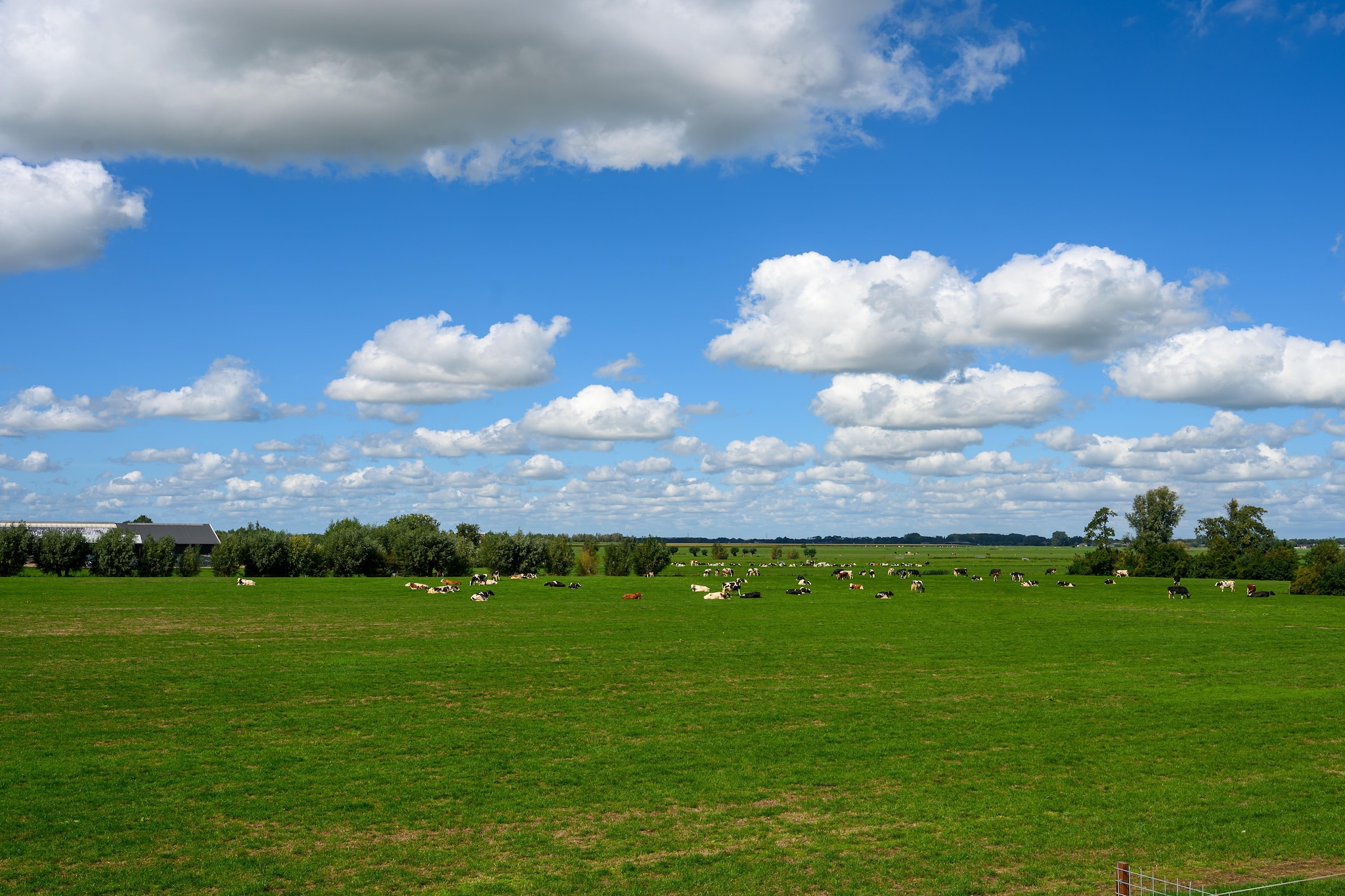The New Barn - Tuinen zomer