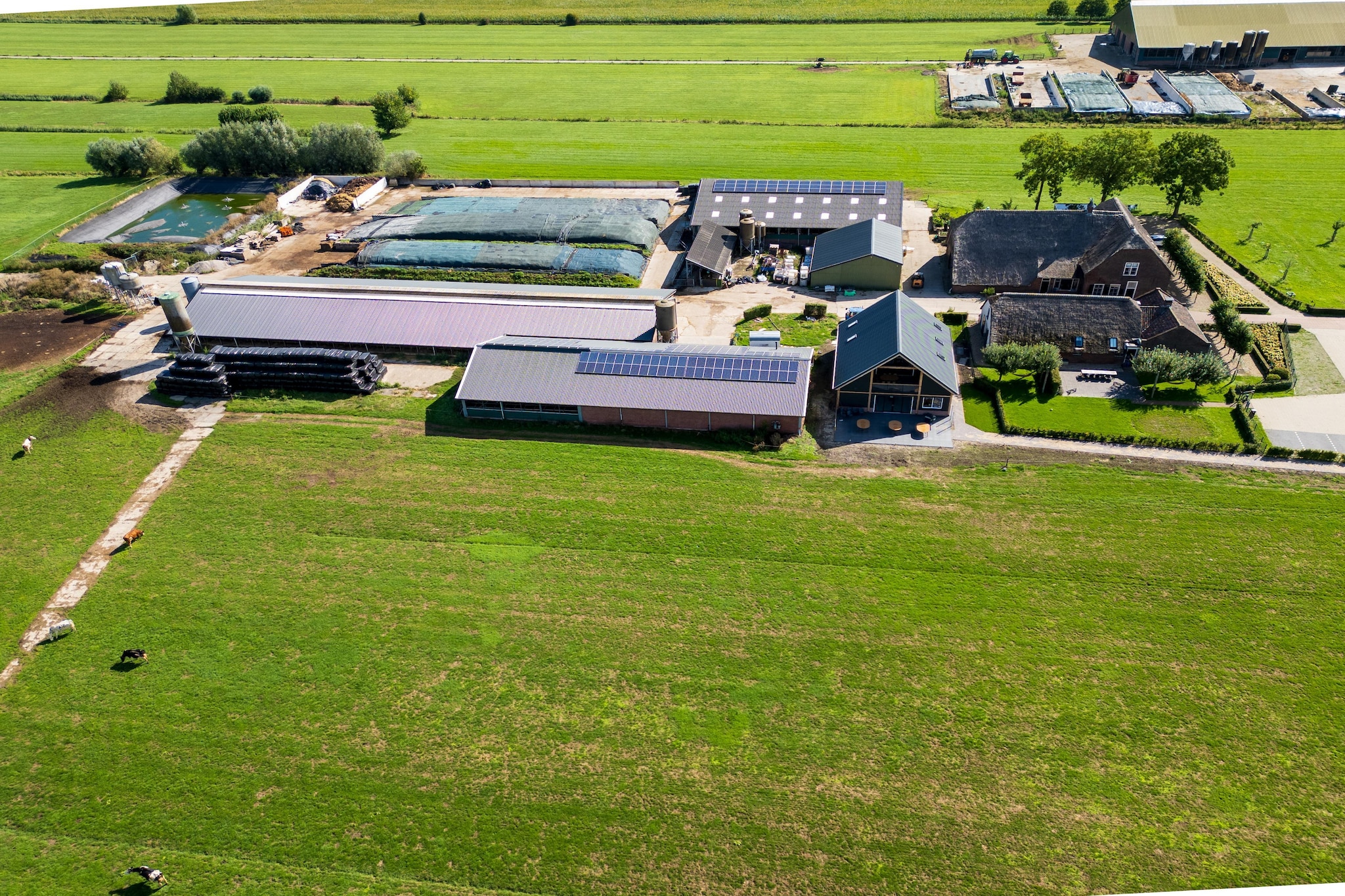 The New Barn - Gebieden zomer 1km