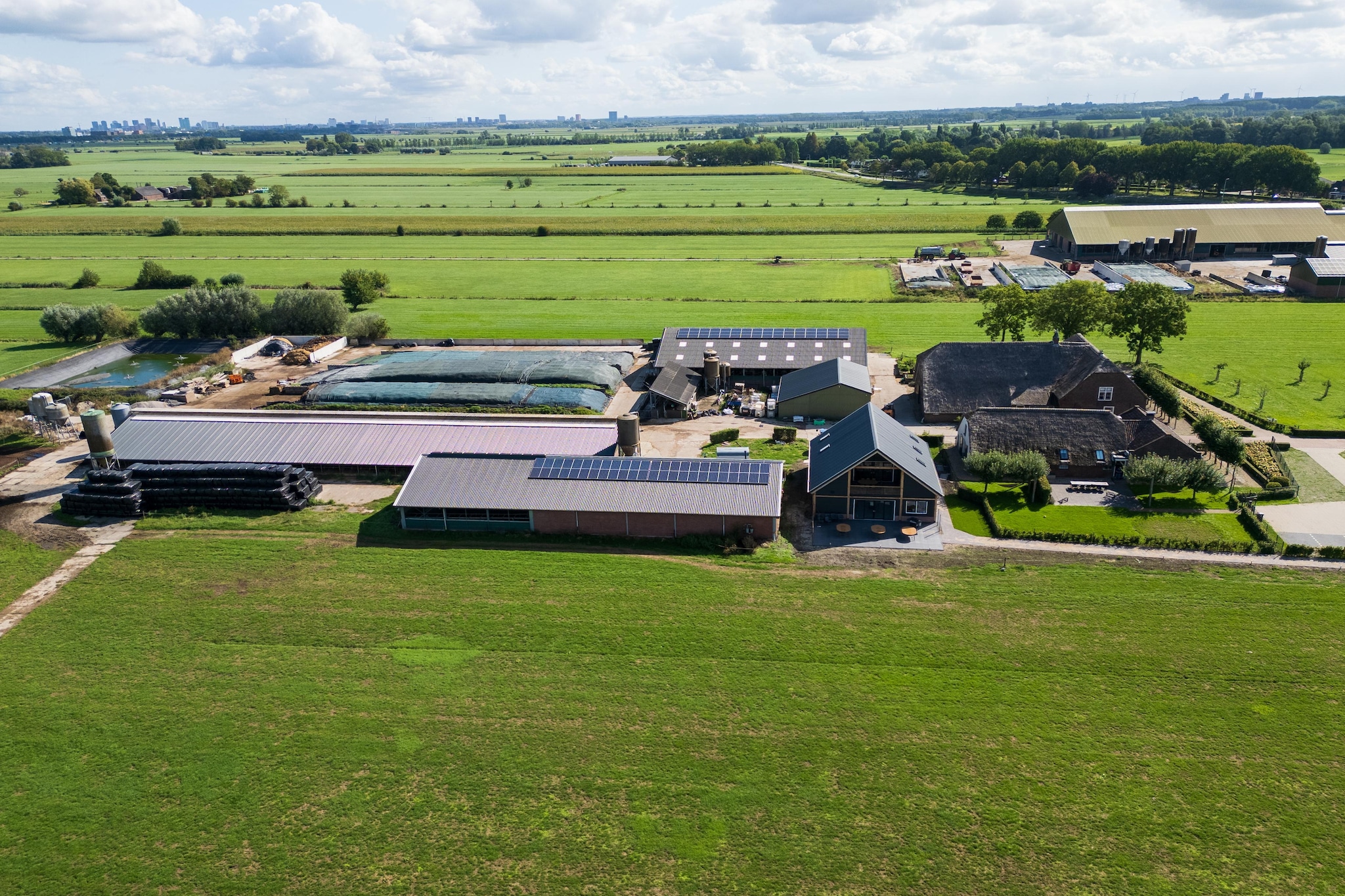 The New Barn - Gebieden zomer 1km