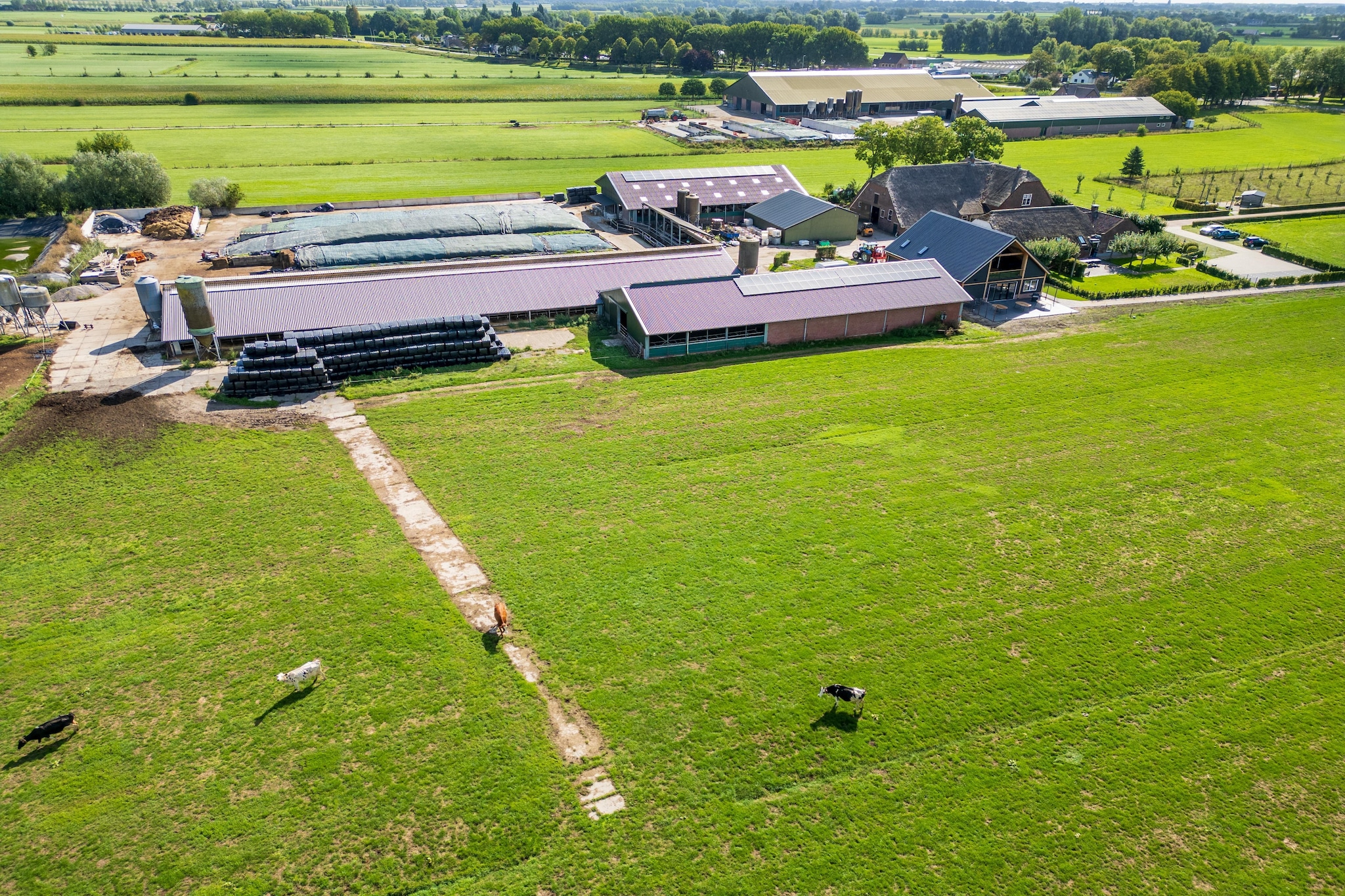 The New Barn - Gebieden zomer 1km