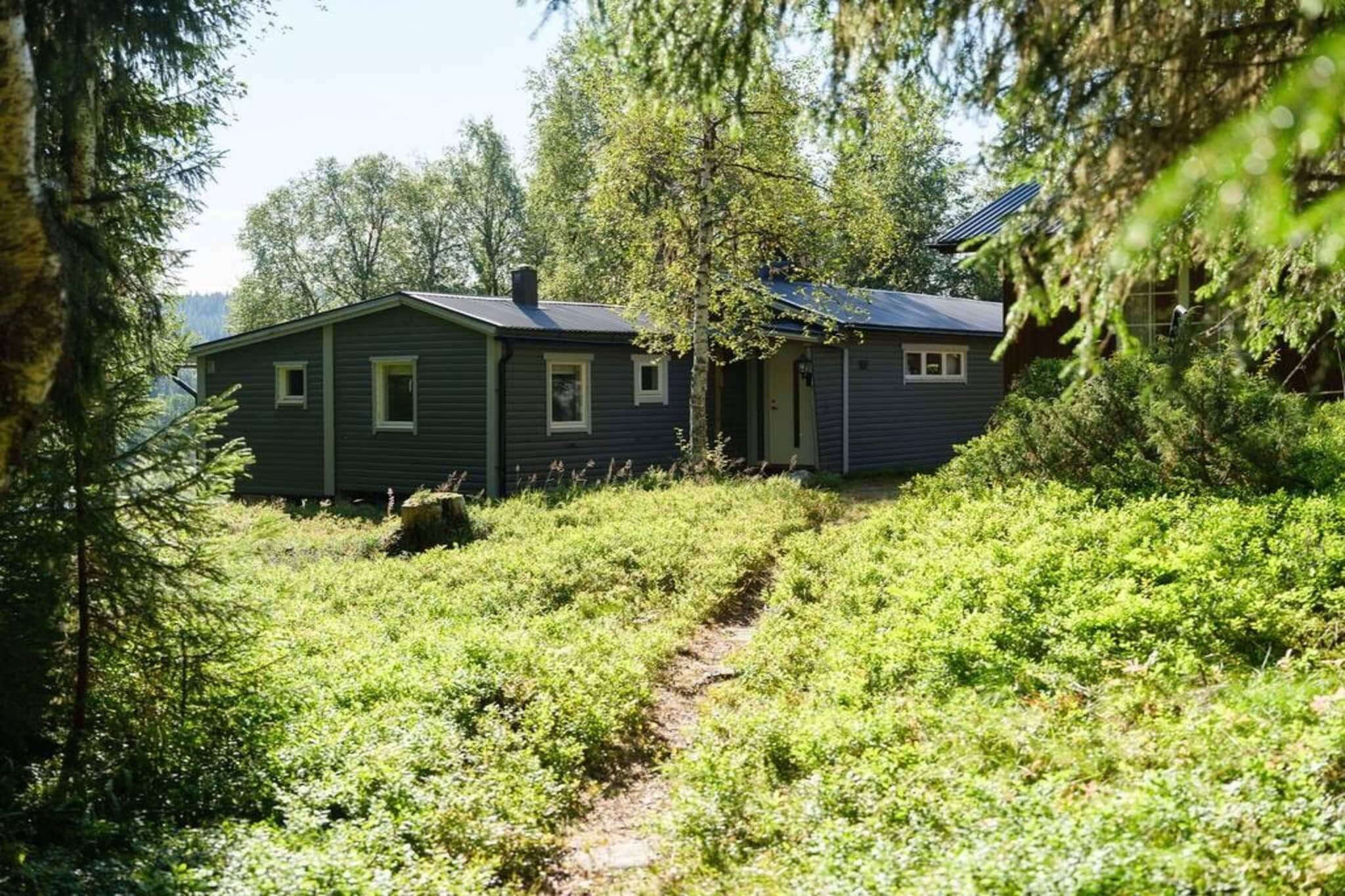 Annex: (double bed, 2x bunk bed)\n\nInternet Access DSL, Living room(fireplace), Kitchen(stove(induction), coffee machine, microwave, fridge-freezer, water from well), bedroom(double bed), bathroom(washbasin, shower, toilet(electrish)), balcony, heating(electric), garden furniture, garden furniture, parking