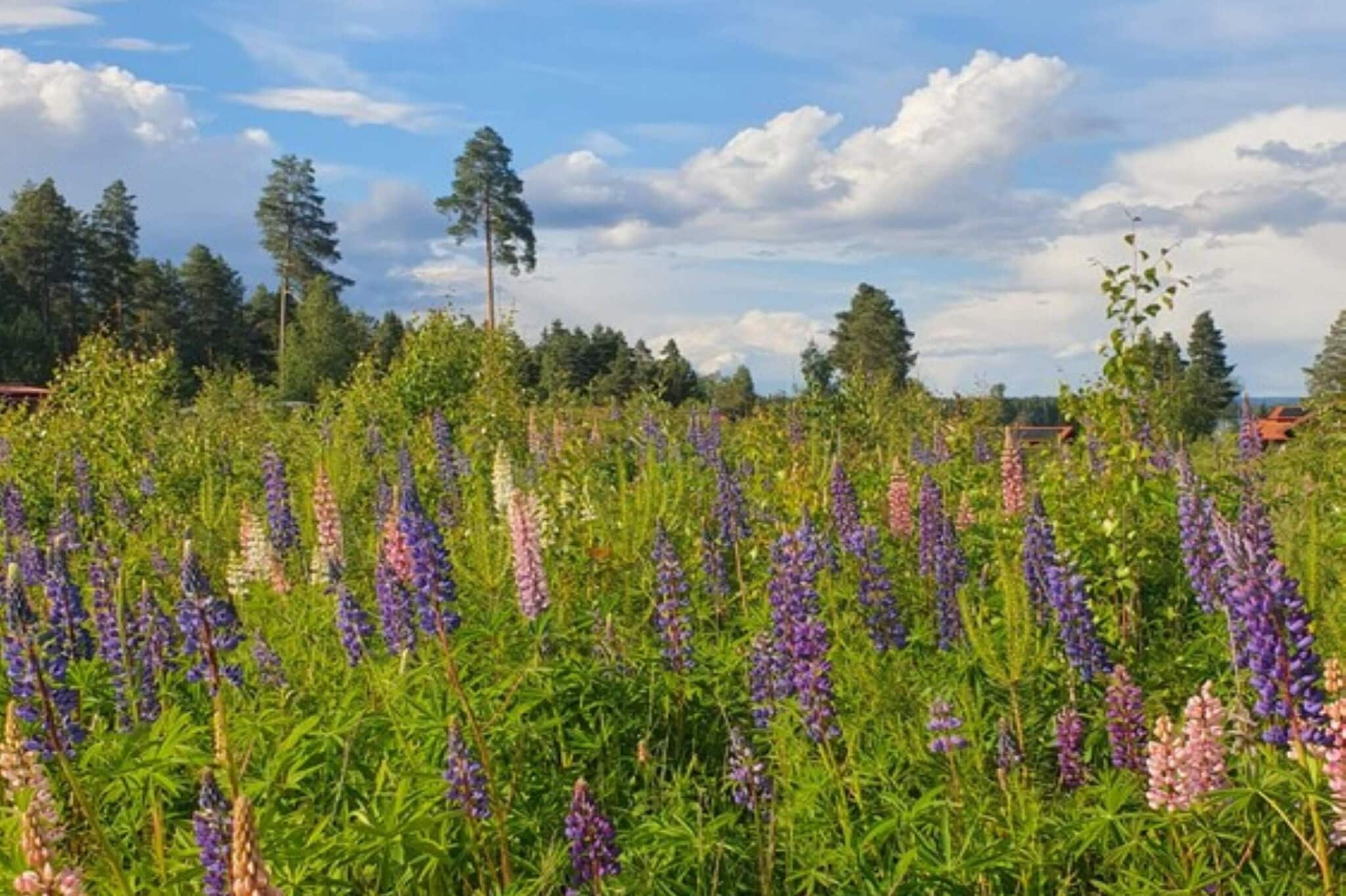 Sweden