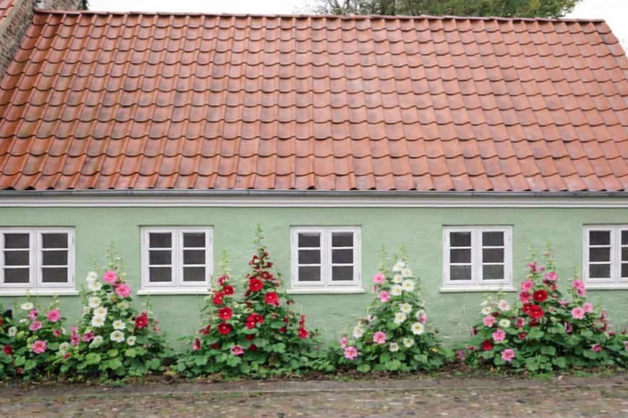 4 sterren vakantie huis in Ringkøbing