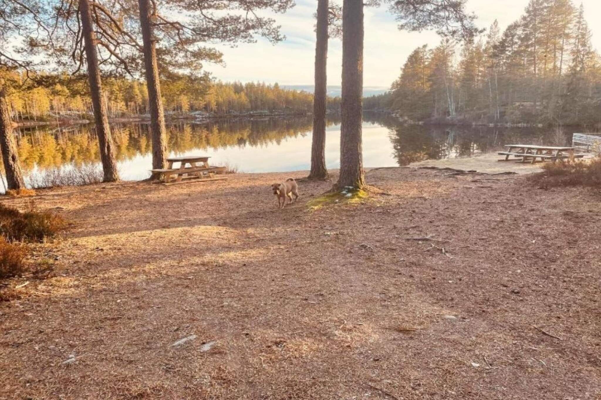 Sweden