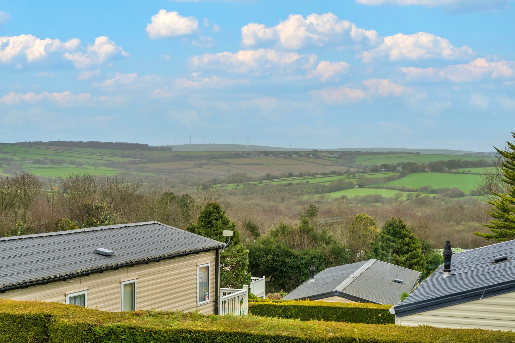 Pine Forest Lodge - Gebieden zomer 1km