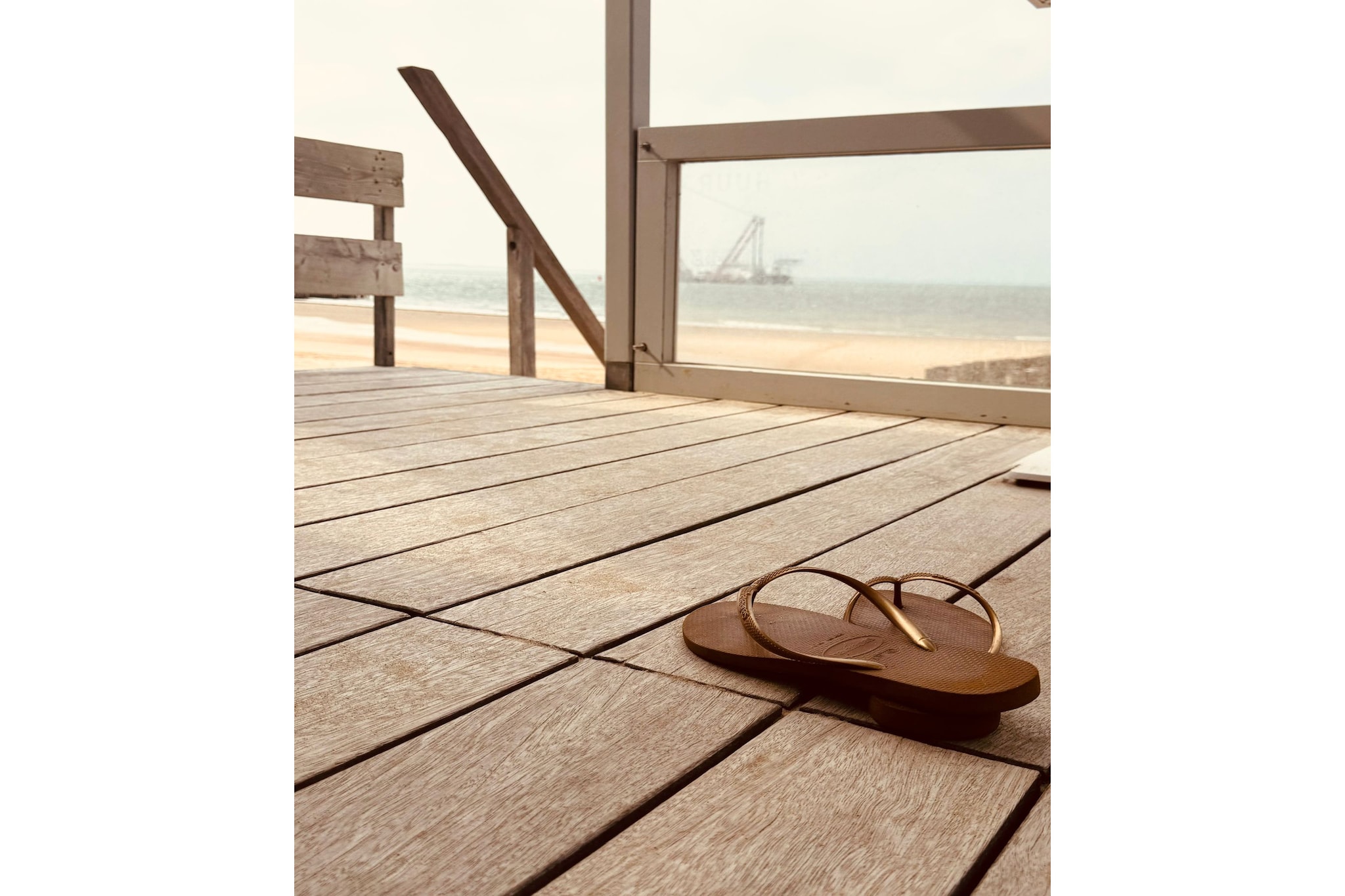 Sleep beachhouse - Beach Dishoek 37 I Dishoek - Ambiente