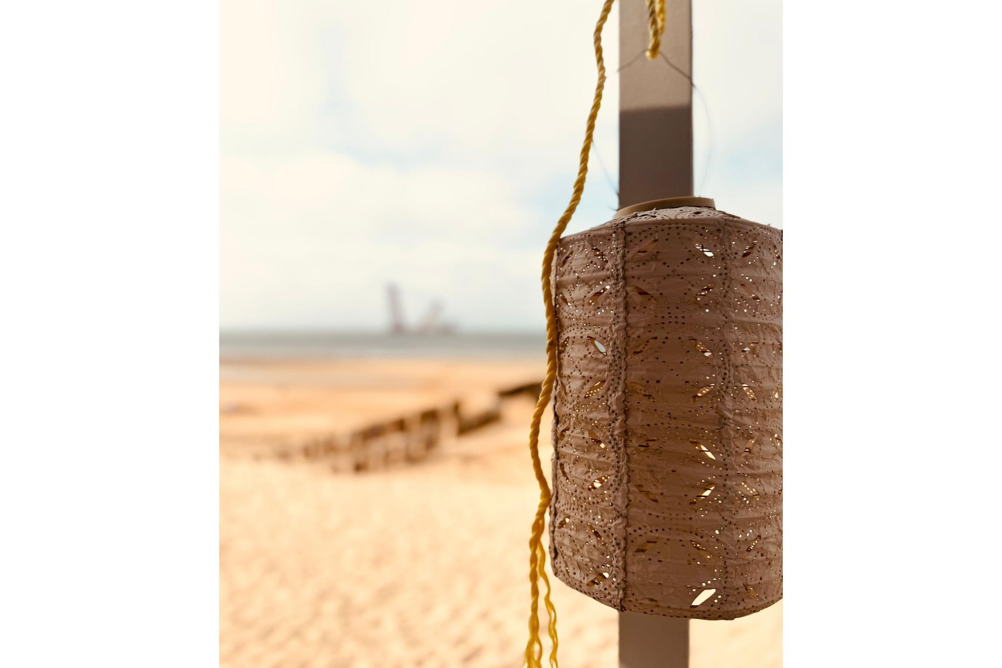 Sleep beachhouse - Beach Dishoek 37 I Dishoek - Ambiente