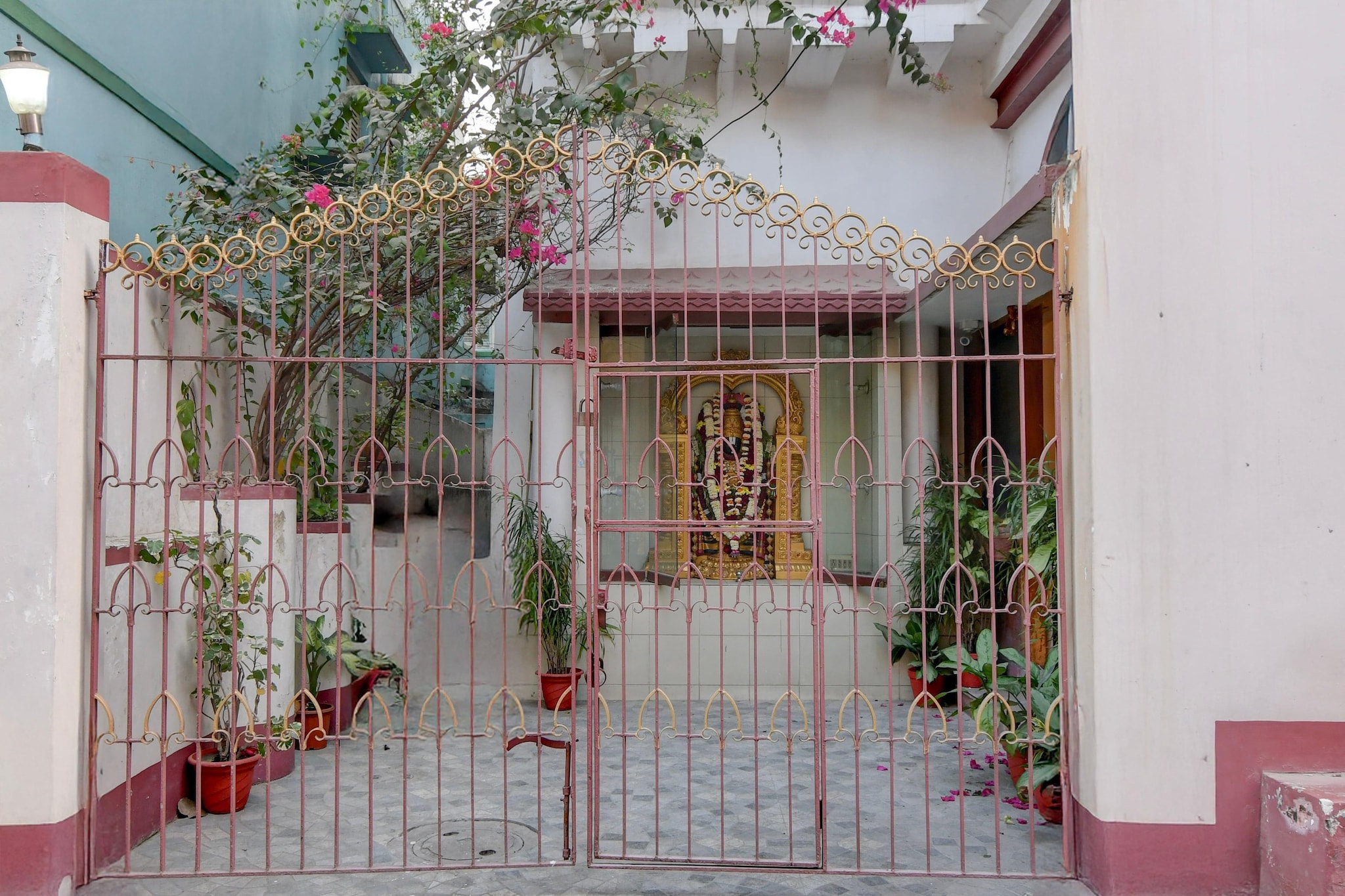 Collection O Kalighat Kolkata