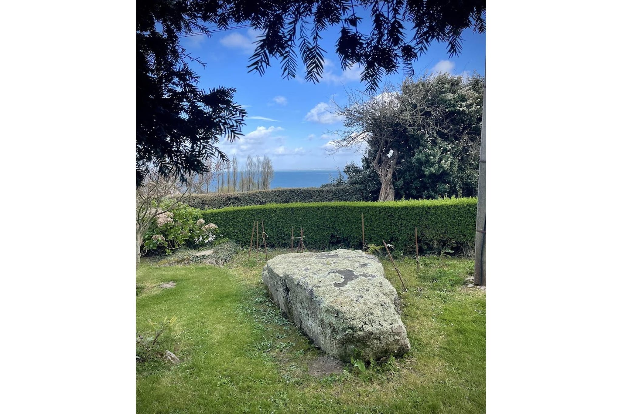 Macareux - Garten Sommer