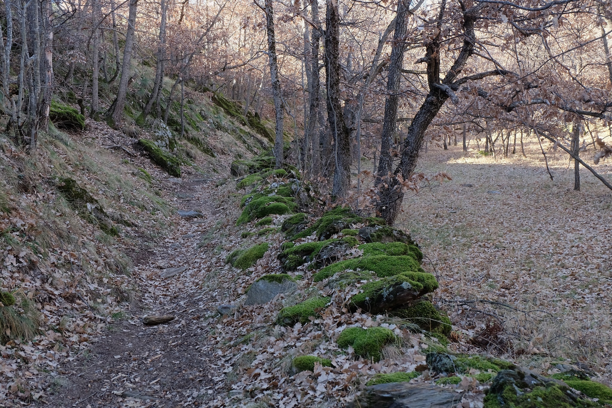 Cobert d'en Piarró-Areas summer 5km