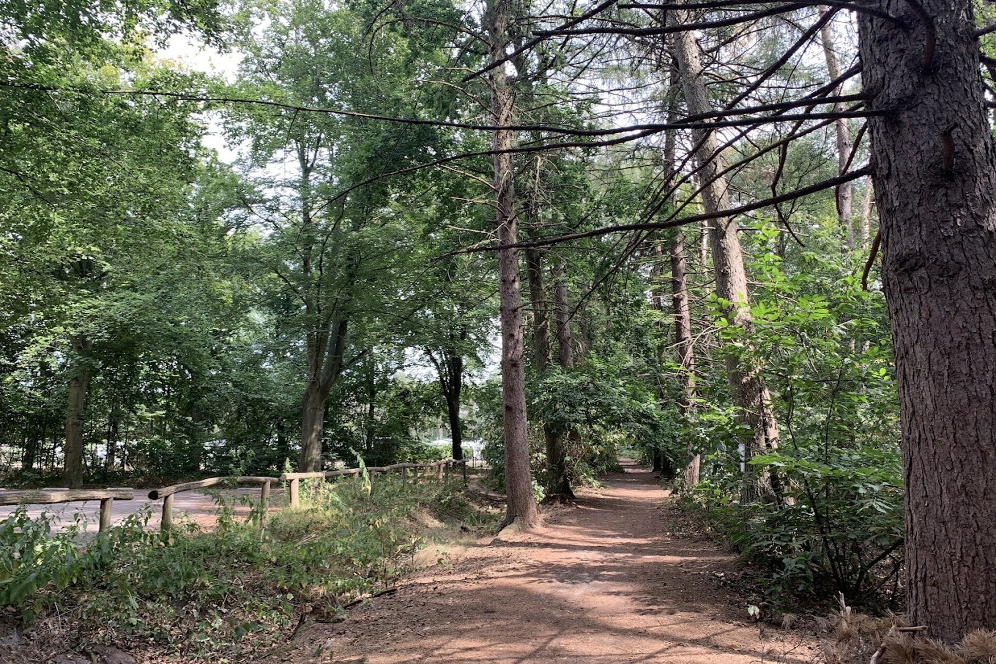 Area Summer1 K M
