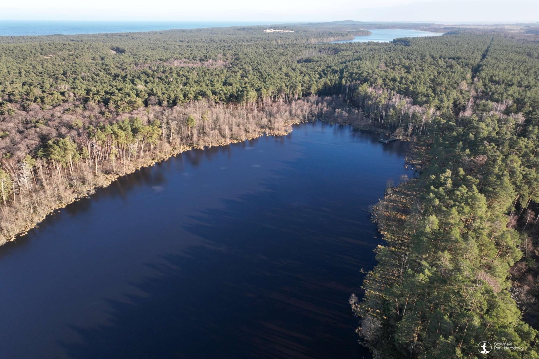 Dom wakacyjny z Klimatem Smołdziński Las - Gebiete Sommer 5 km