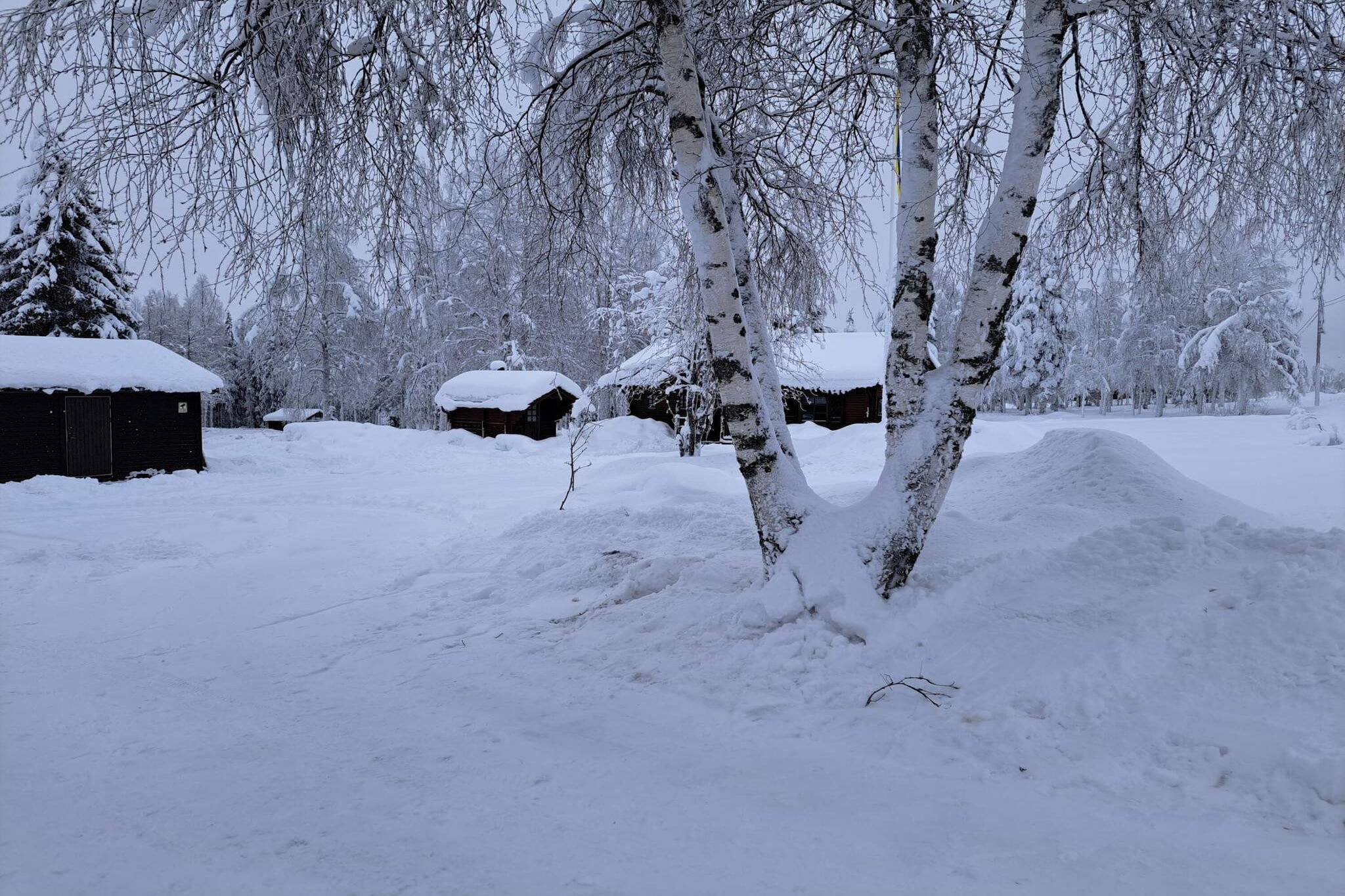 Apartments for rent & short stay