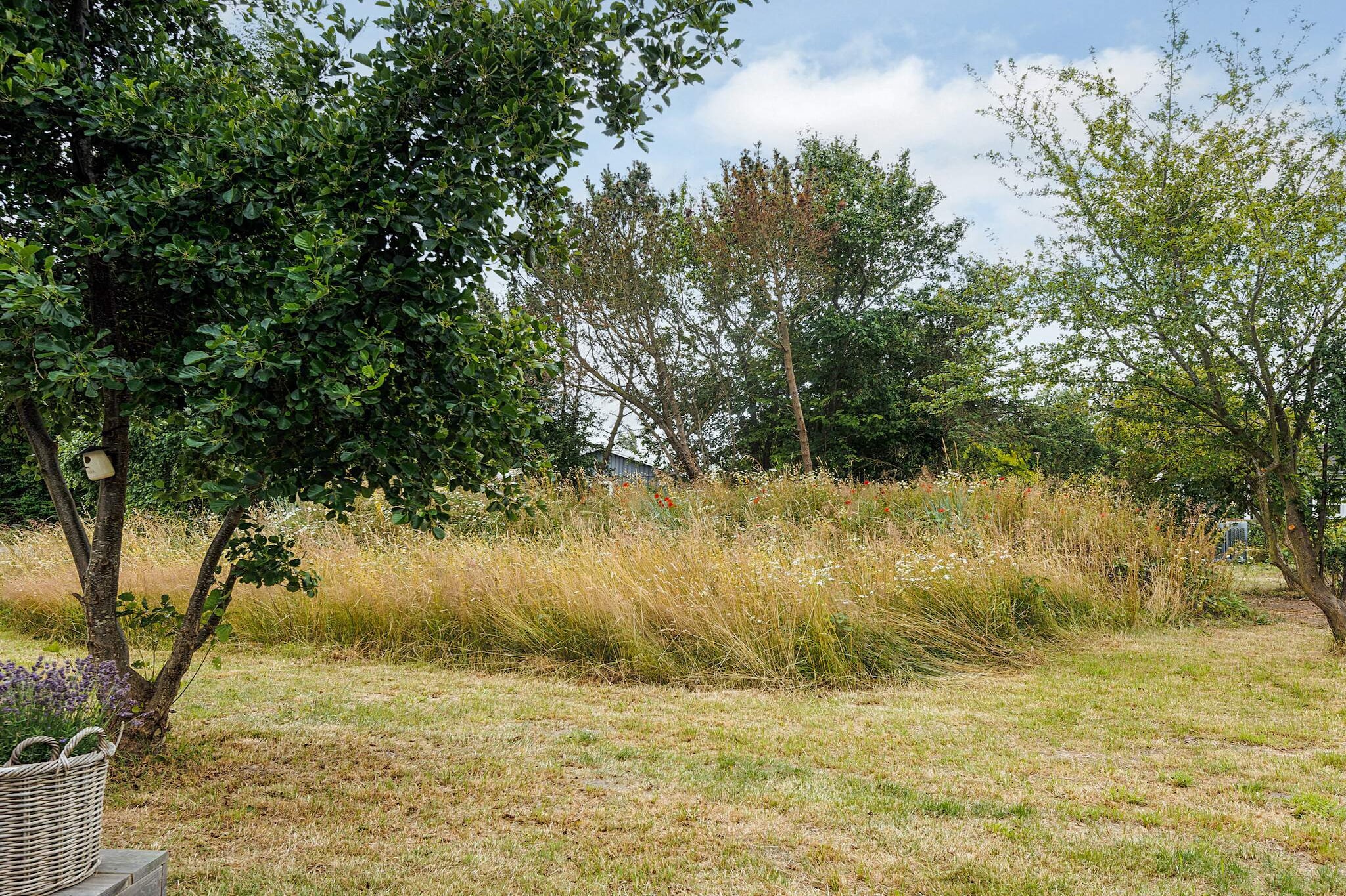 Lolland Hideaway, vlakbij de kust om te vissen - Uitzicht