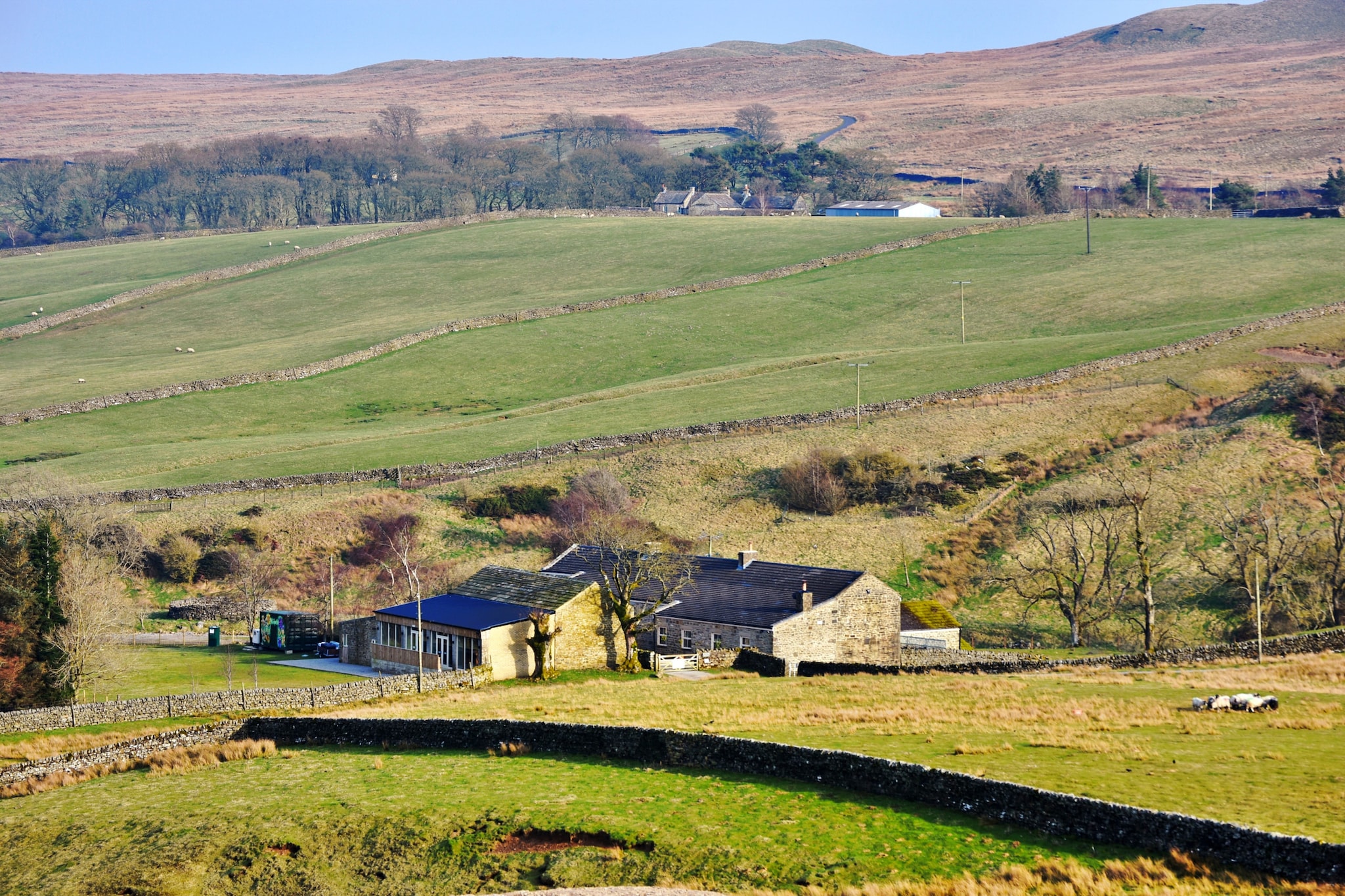 Blackton Farmhouse - Gebieden zomer 1km