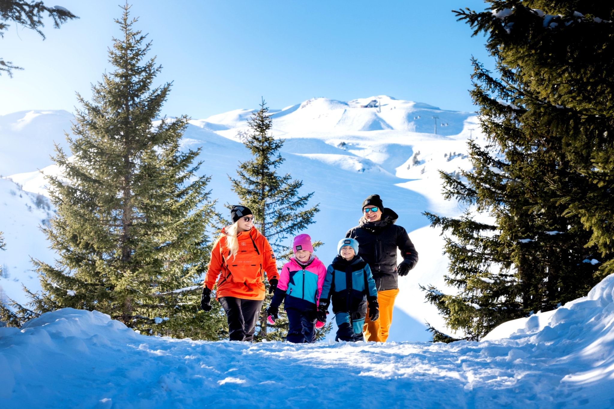 Alpinegold Residenz Kristallquelle Suite - Area within 5km in winter