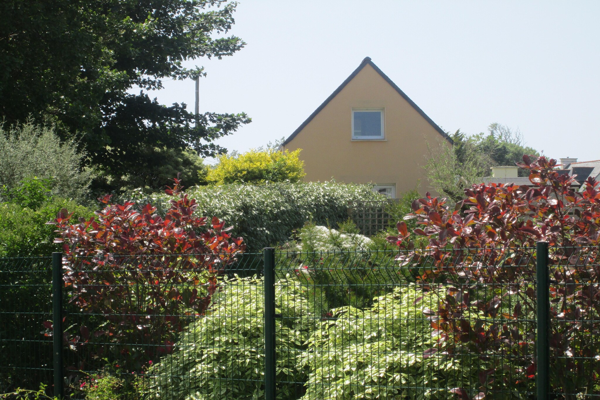 Exterior Summer