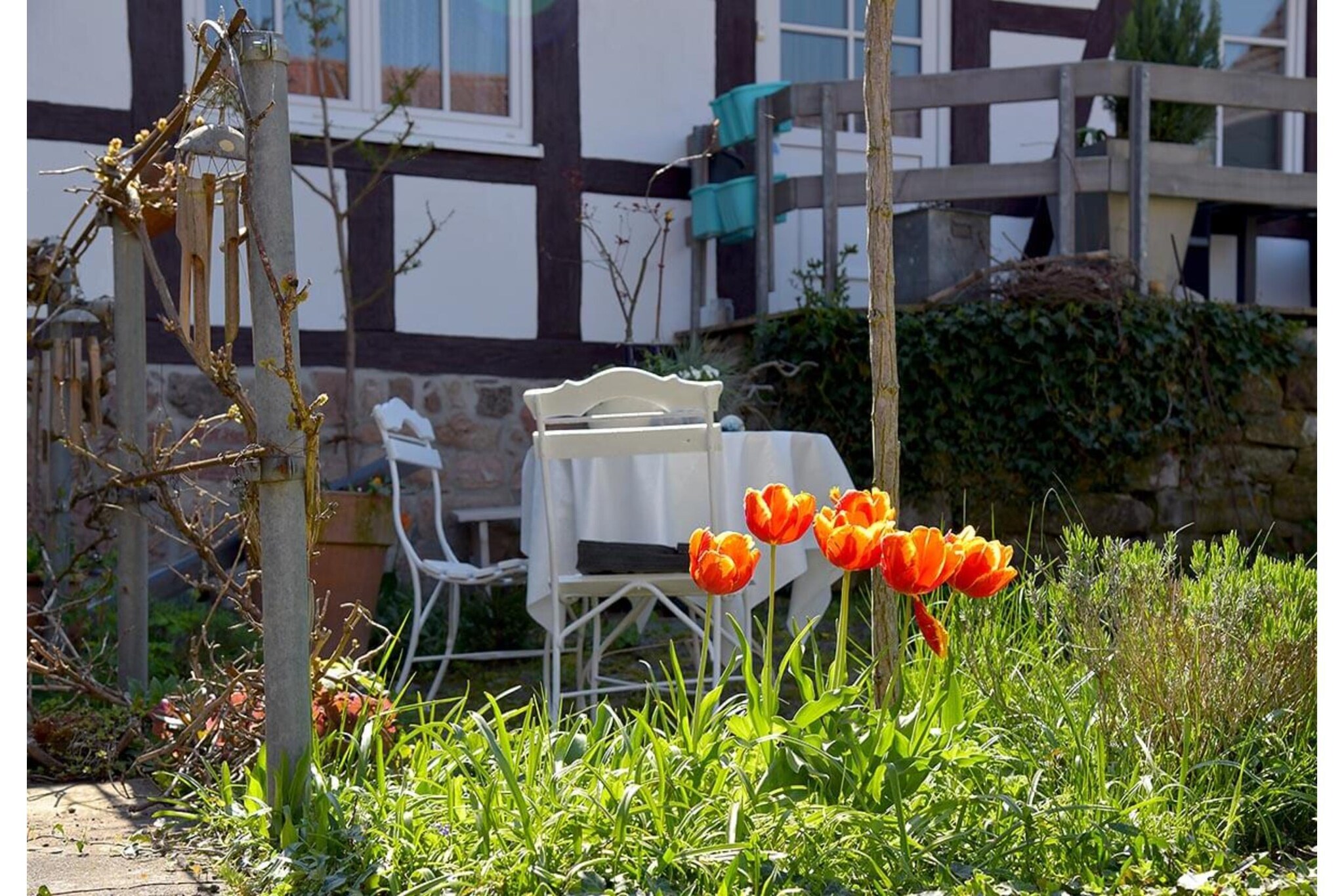 Garden Summer