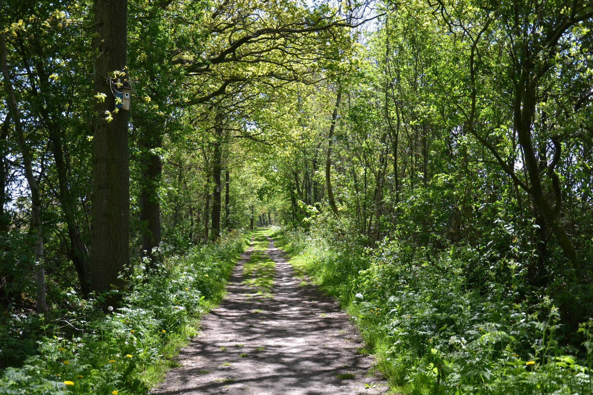 Buitenvreugde - Gebieden zomer 5km