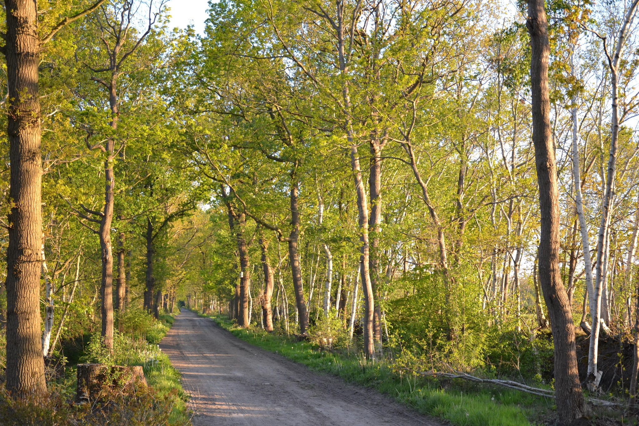 Buitenvreugde - Gebieden zomer 5km