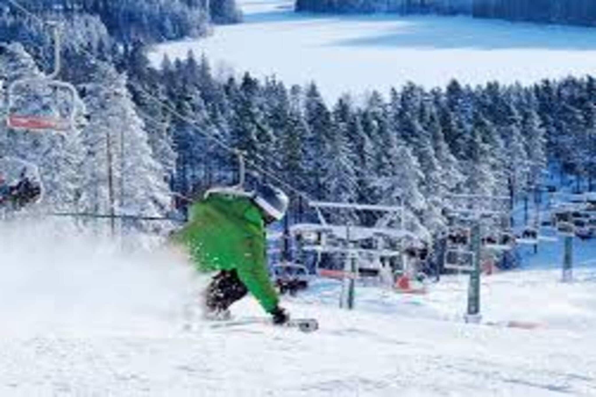 4 star holiday home in NISSAFORS