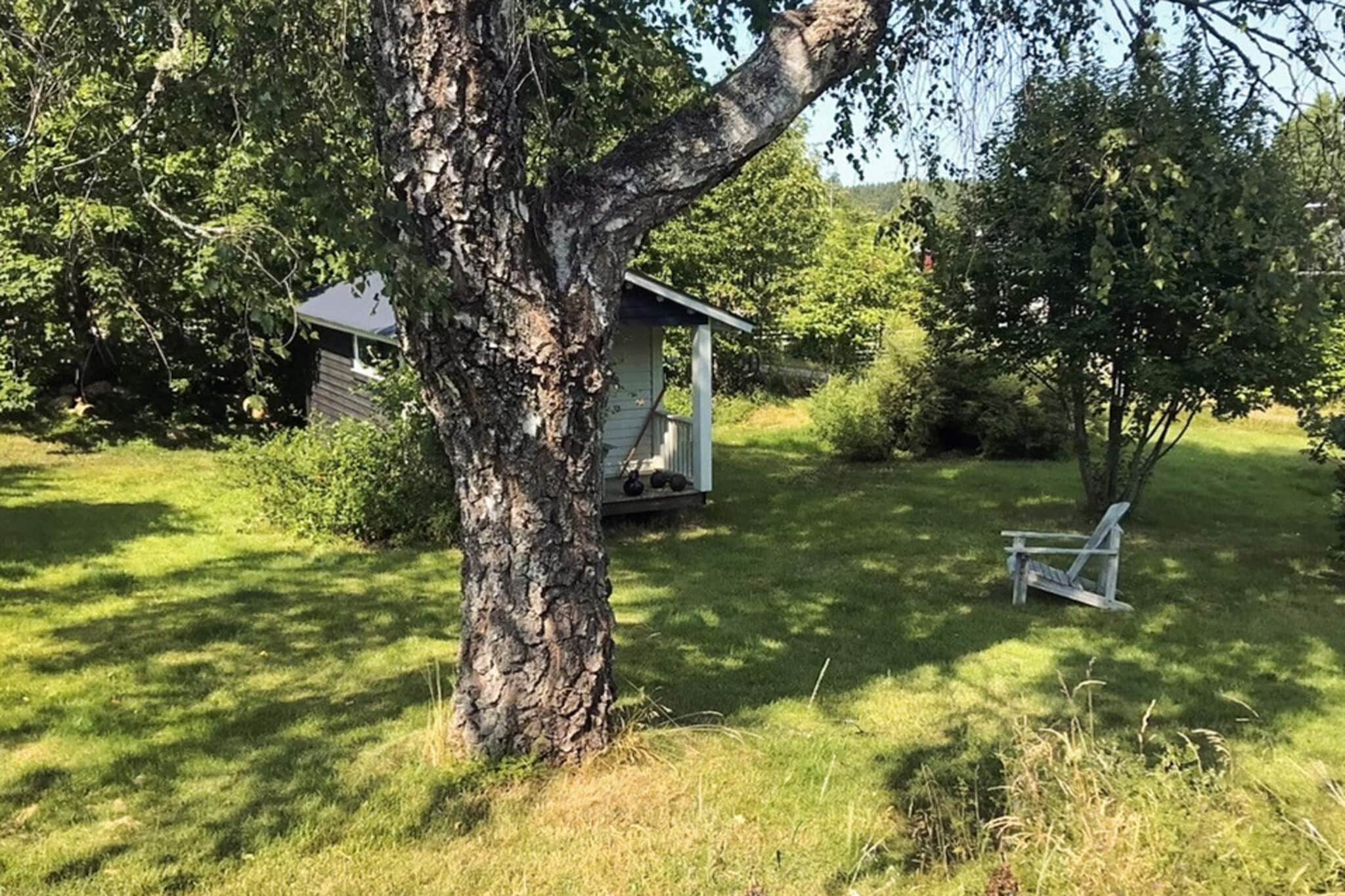 Basement: (freezer(shared with the owner ), washing machine)\n\nAnnex: (2x single bed)\n\nInternet Access DSL, Kitchen(stove(induction), dishwasher, fridge, water from well), Living/bed room, bedroom(double bed), bathroom(washbasin, shower, toilet), heating(electric), garden, garden furniture, air to air heatpump