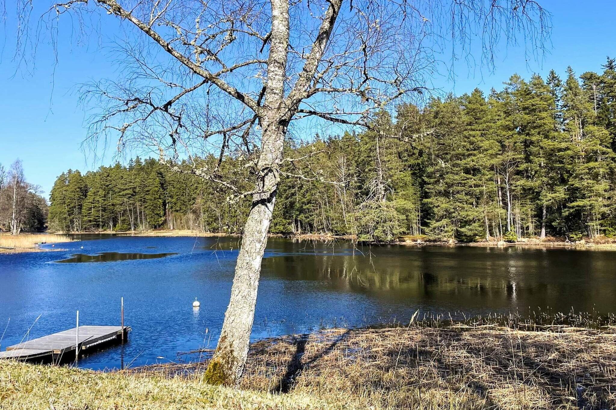 Welcome to nature! Small, cute cottage in Sandhem with a fresh interior, located on the same plot as the friendly homeowner (approx. 10 m between the houses). Here you live quietly and secluded with nature right outside the door. The cottage is perfect for a small group and offers a total of 4 beds. One bedroom with a double bed (140 cm - comfortable for one, cozy for two) and a sofa bed in the living room for two more guests. The kitchen is fully equipped with stove/oven, microwave, coffee maker and fridge/freezer. The bathroom is fresh and has a toilet, sink and shower. In the forest (approx. 150 m from the cottage) there is a cozy barbecue area that the homeowner has created - a perfect place for relaxing evenings. A stone's throw away (150m) is Lake Stråken, where you can try your luck at fishing in a peaceful environment. For swimming, there are several nice options nearby, such as Gravsjö bathing area (approx. 4.5 km, lawn and pier) and Mullsjö camping (approx. 9 km, with diving tower and family-friendly beach). For those who enjoy the outdoors, there is much to discover in the area around Hökensås Nature Reserve. Hiking trails, cycling, mushroom and berry picking and several barbecue areas are offered here. The area is known for its high-quality fishing all year round (fishing license required), with good opportunities to catch prize fish such as rainbow trout and trout in around 30 crystal-clear lakes and ponds, as well as for fly fishing, spinning and angling. In Kyrkekvarn (approx. 4.5 km) there are canoe rentals and the opportunity to paddle along the Tidan - a close-to-nature experience that suits both beginners and more experienced paddlers. There are also Icelandic horses here for those who want to experience nature from horseback. In nearby Mullsjö (approx. 8 km) you will find grocery stores, restaurants and services. For those who want to explore more of the surroundings, there are also several smaller swimming lakes, forest paths for cycling and nice excursion destinations. In summary, this is a perfect accommodation for those looking for peace and quiet, close to nature and at the same time want access to activities such as canoeing, fishing, hiking and swimming.