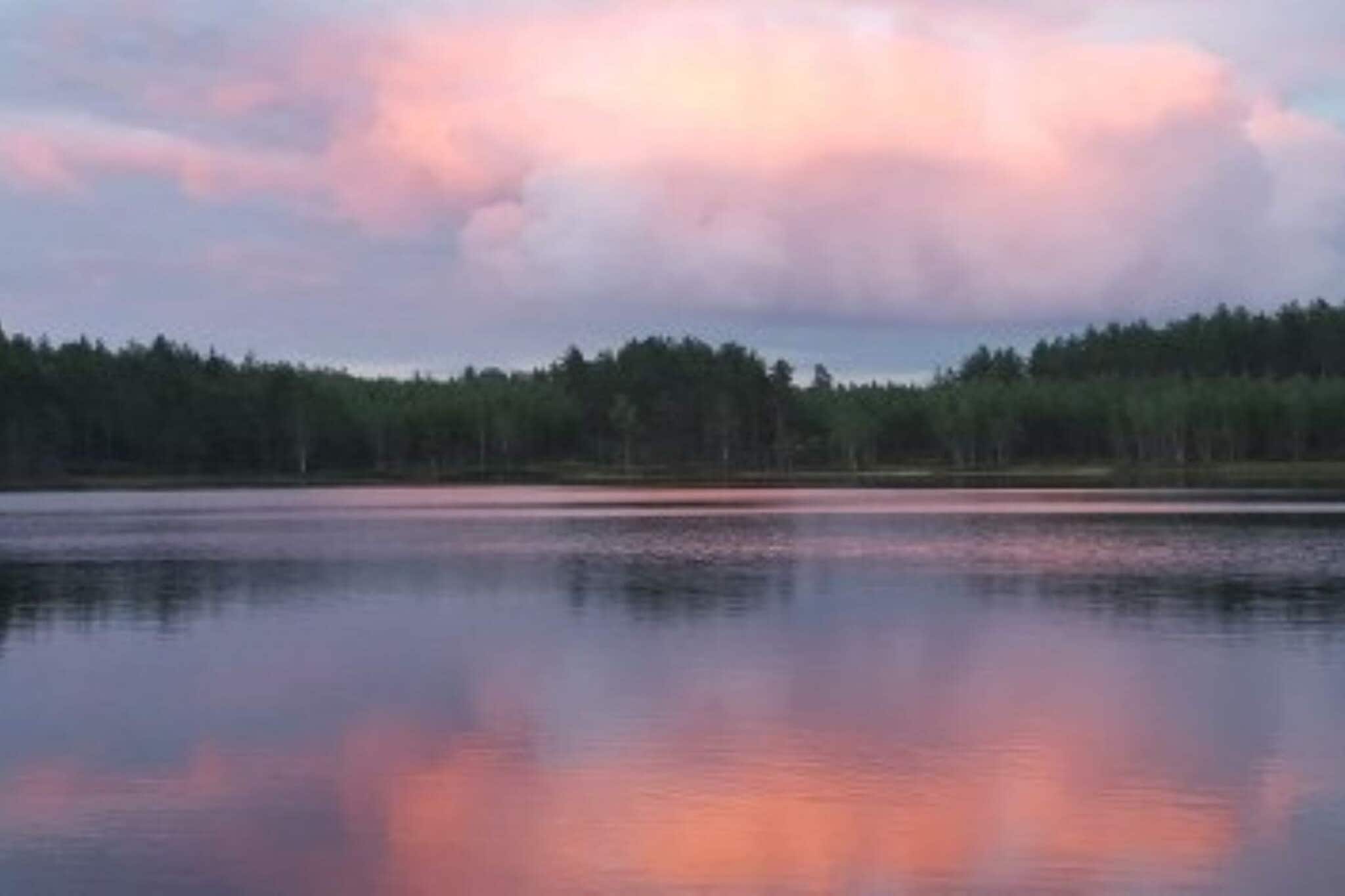 Internet Access DSL, Kitchen(cooker(electric), coffee machine, microwave, fridge-freezer), Living/bed room(double folding bed), bedroom(double bed), bathroom(washbasin, shower, toilet), heating(electric), parking, air to air heatpump