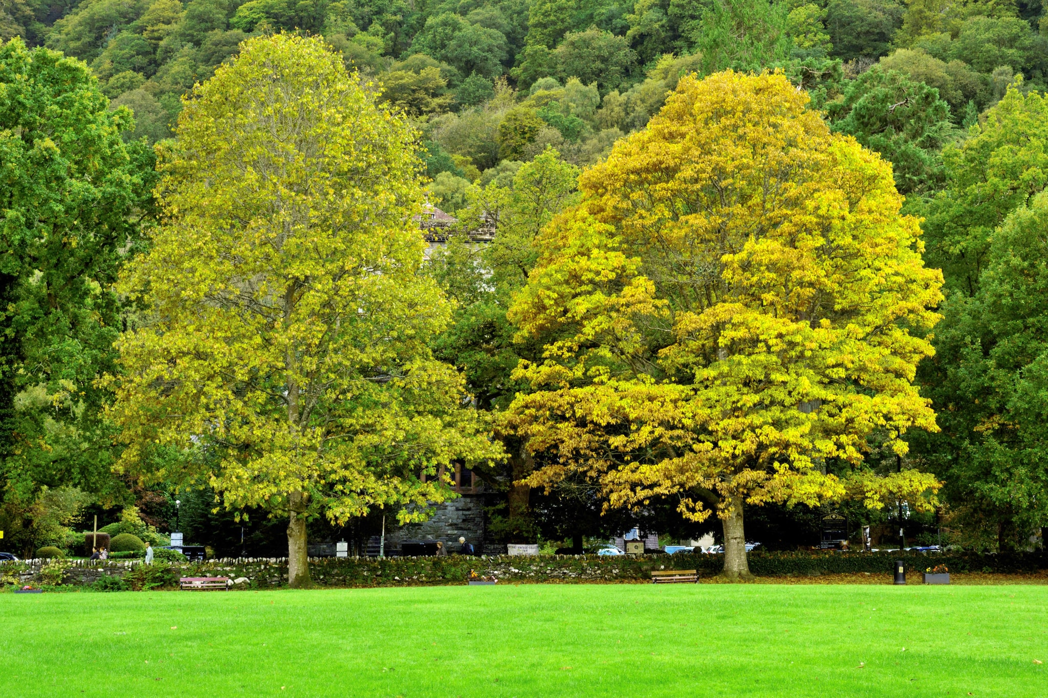 Dyffryn - Areas within 5km in summer