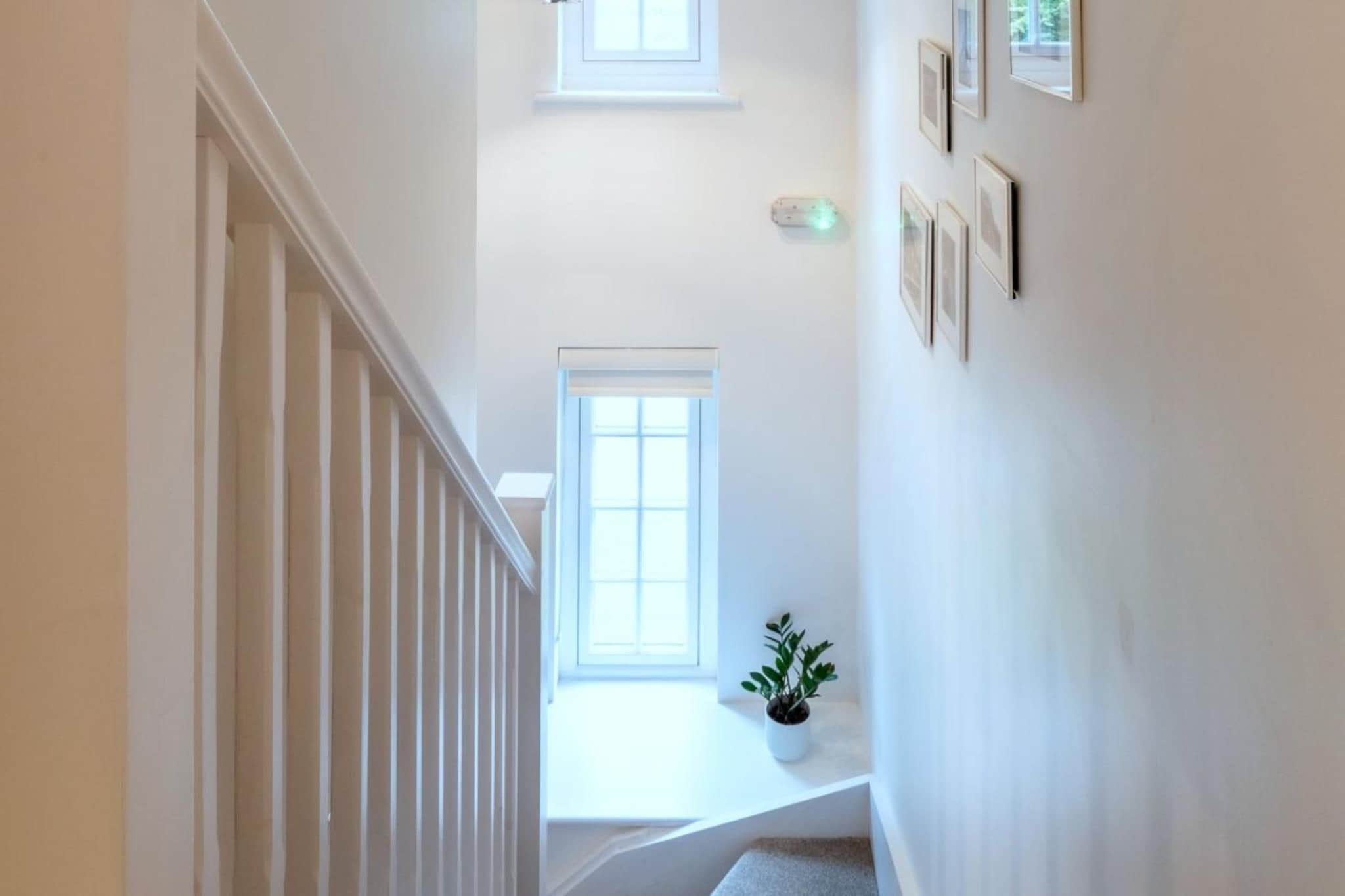 Alpine Cottage - Trap