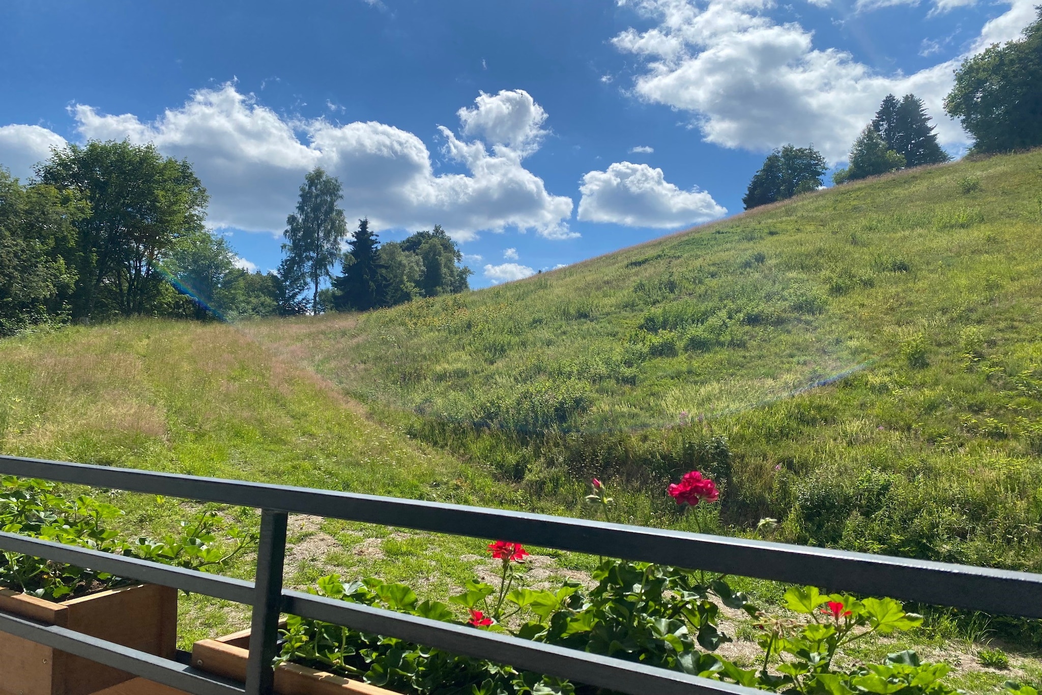 Appartement Am Eschenberg - Studio 2 Personen - Nicht zugeordnet