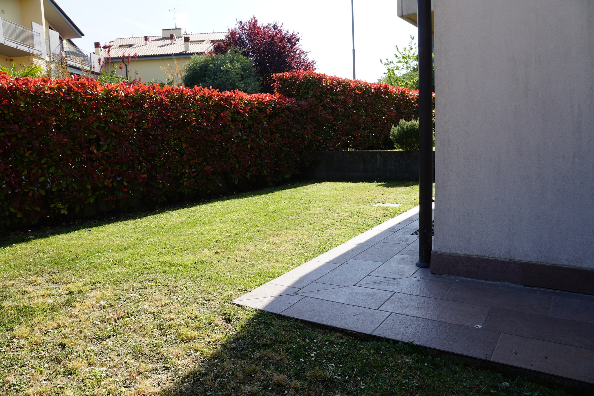 Corte Sant'Andrea 1 - Gardens in summer