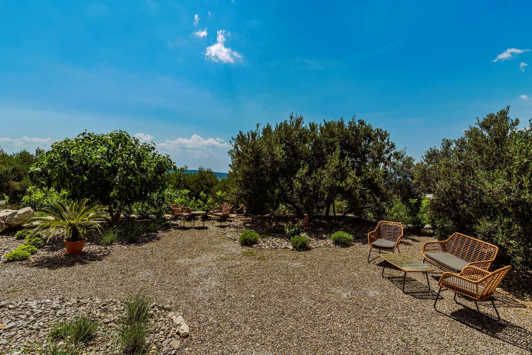 Villa Mare Vista - Tuinen zomer