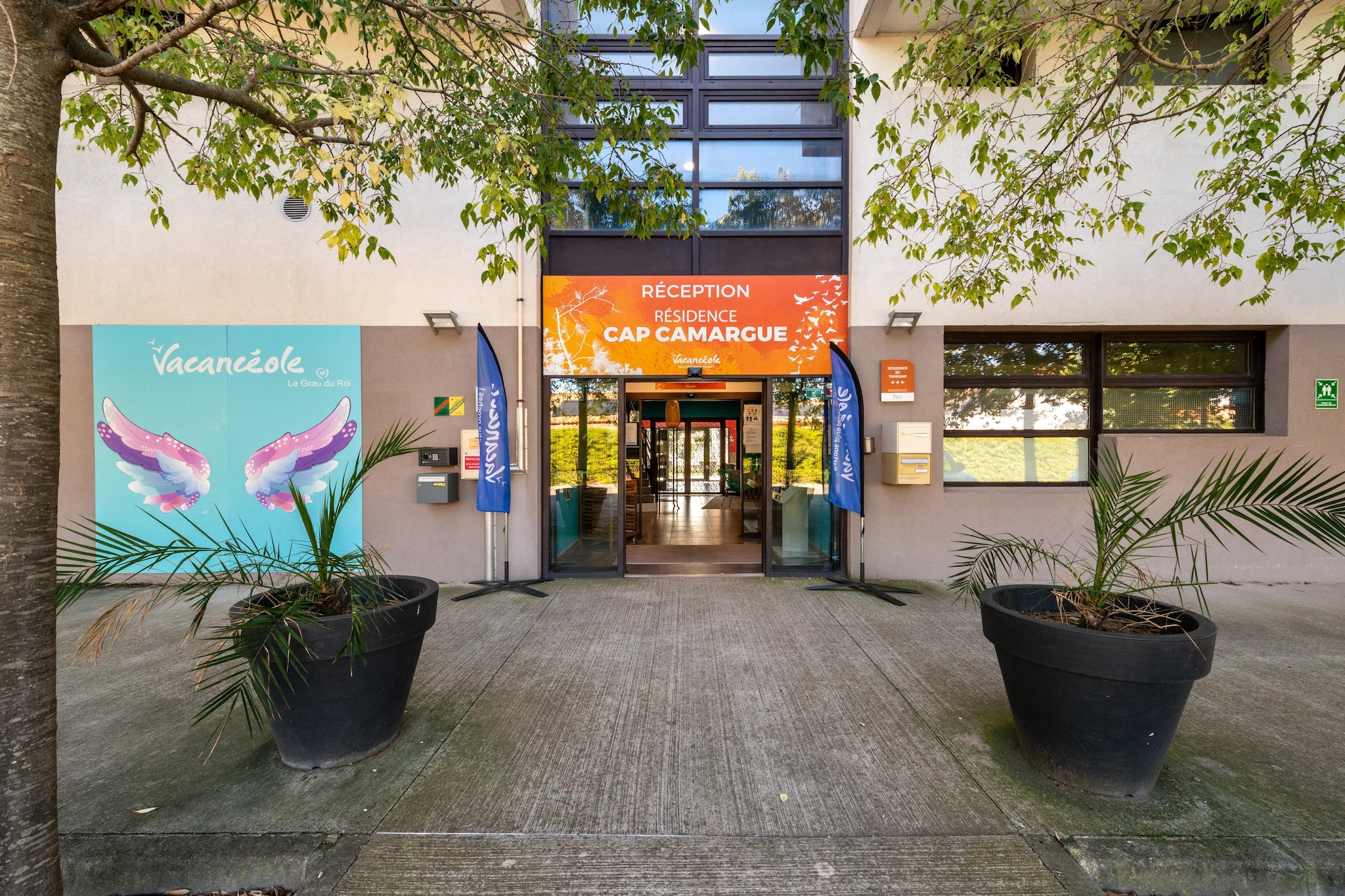 Hall Reception