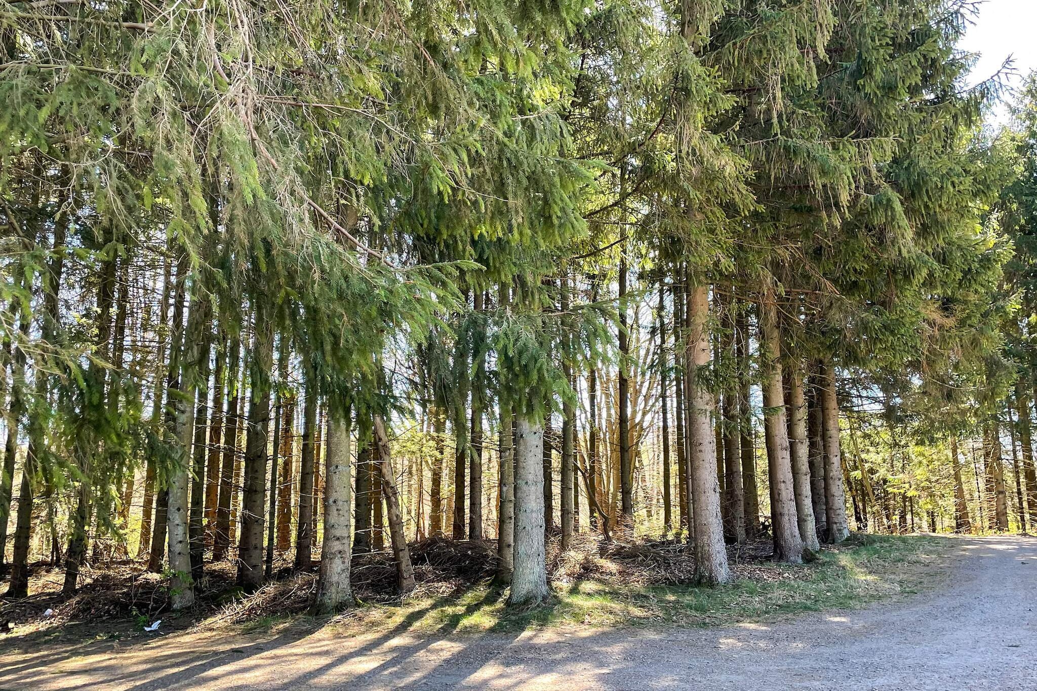 Outdoor