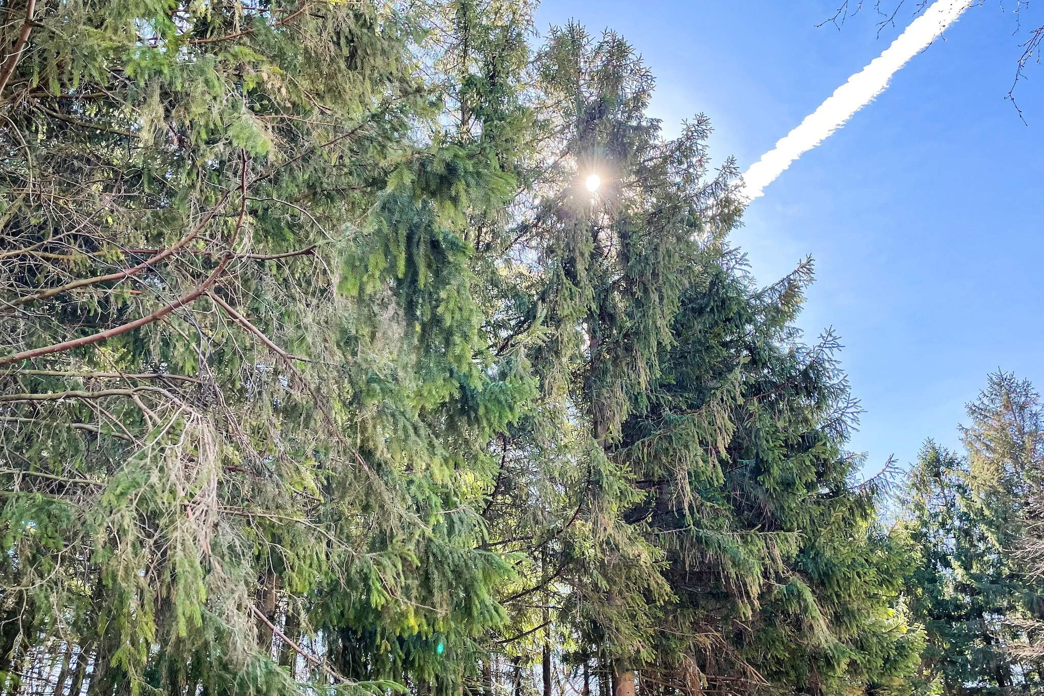 Outdoor