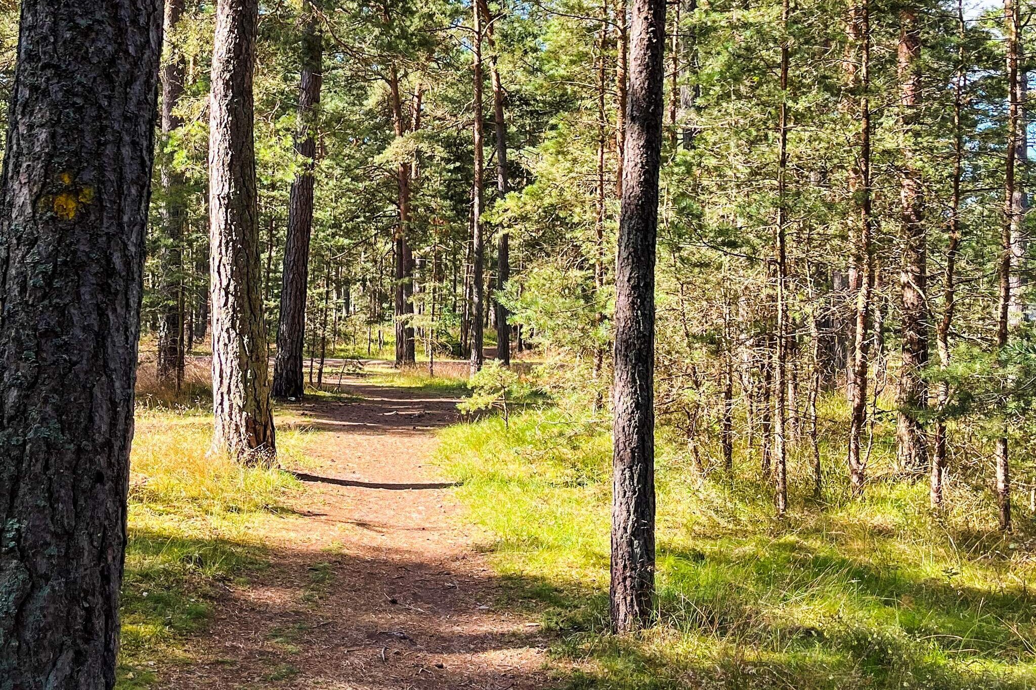 4 person holiday home in YNGSJÖ - Untagged