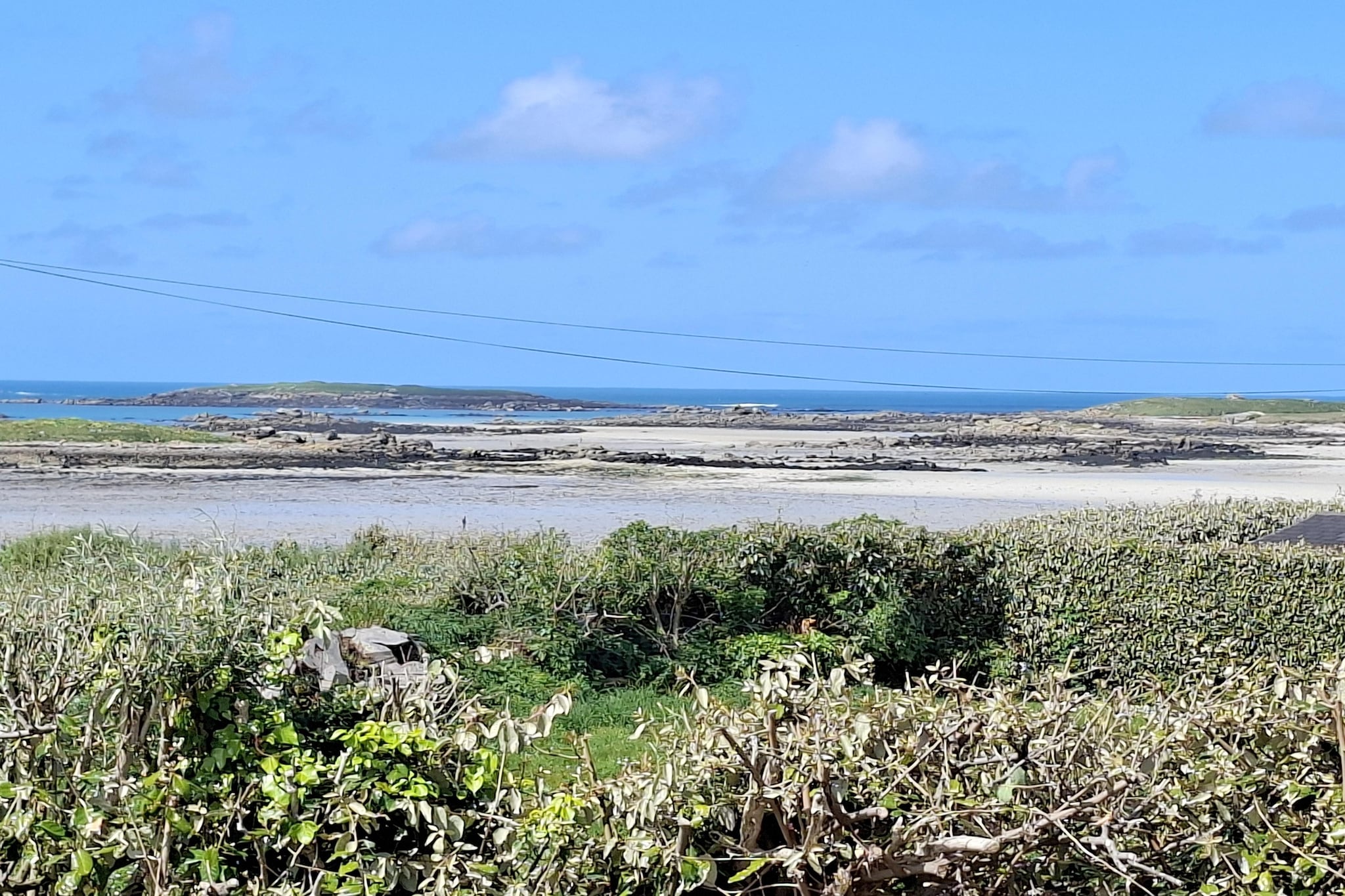 Bretonisches Steinhaus Landéda - View in summer