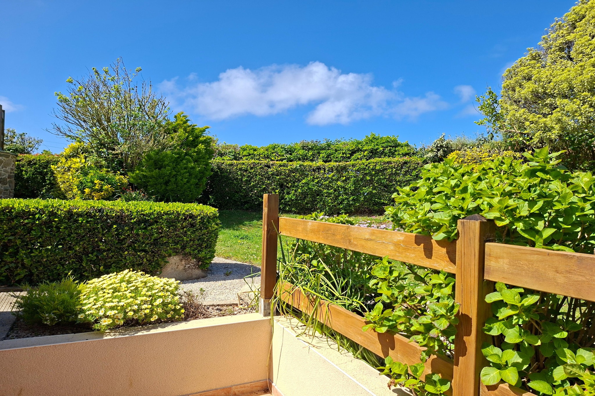 Bretonisches Steinhaus Landéda - Gardens in summer