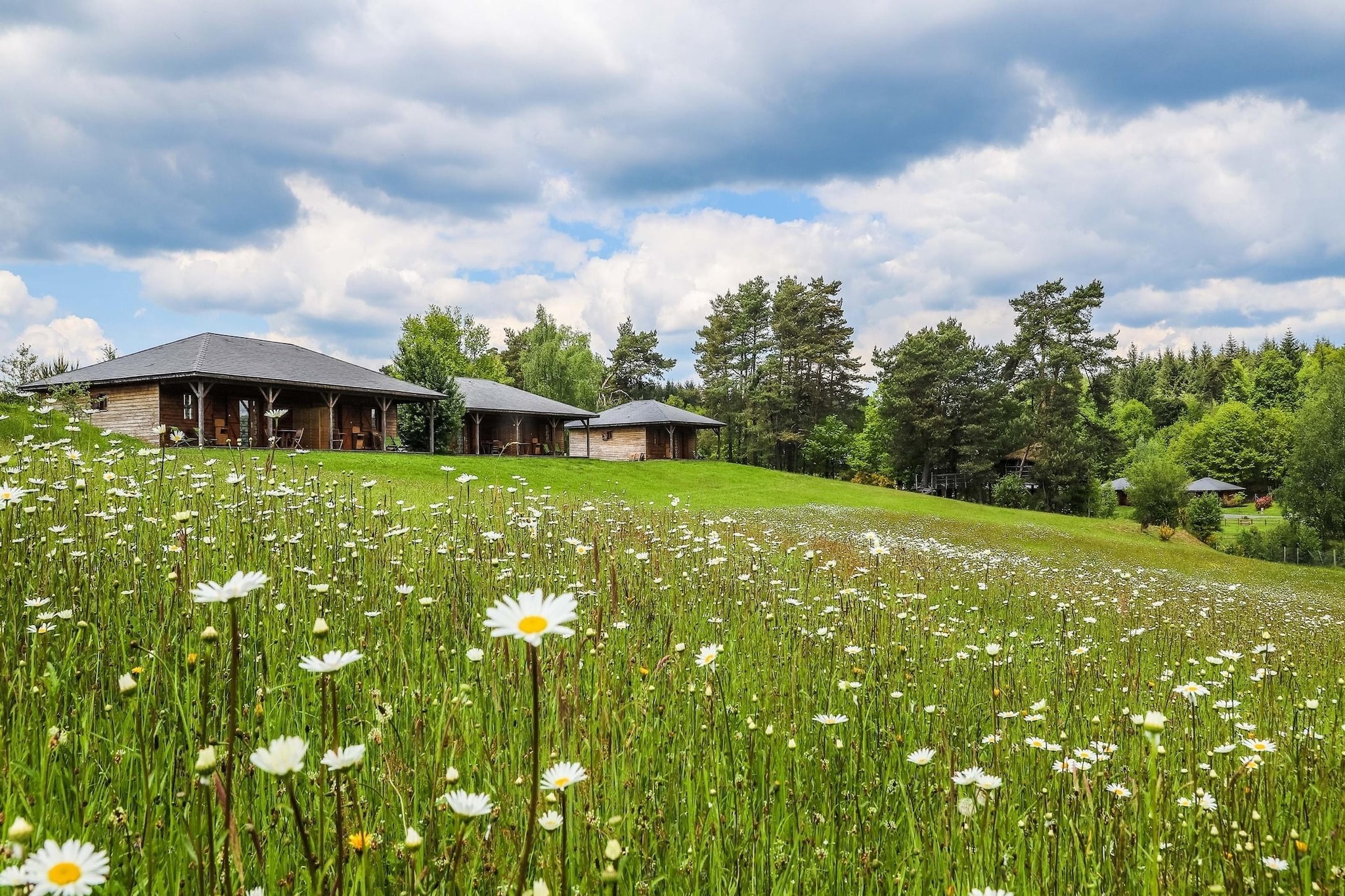 Le Domaine des MonÃ©diÃ¨res - Chalet 3 piÃ¨ces 6 personnes vue Lac - Areas within 1km in summer