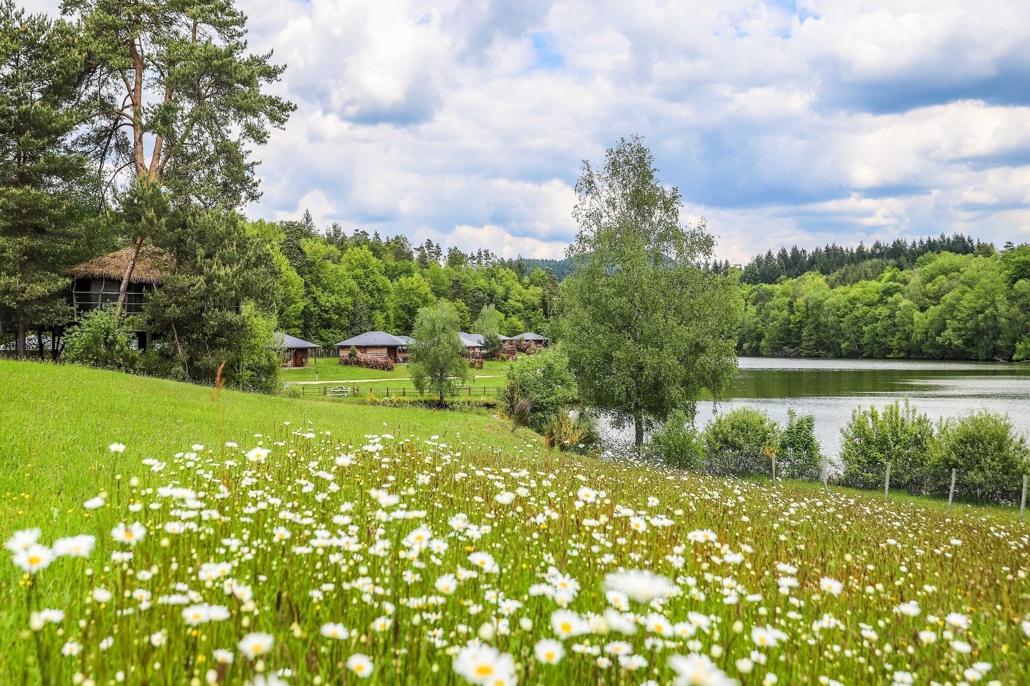 Le Domaine des MonÃ©diÃ¨res - Chalet 3 piÃ¨ces 6 personnes - Areas within 1km in summer