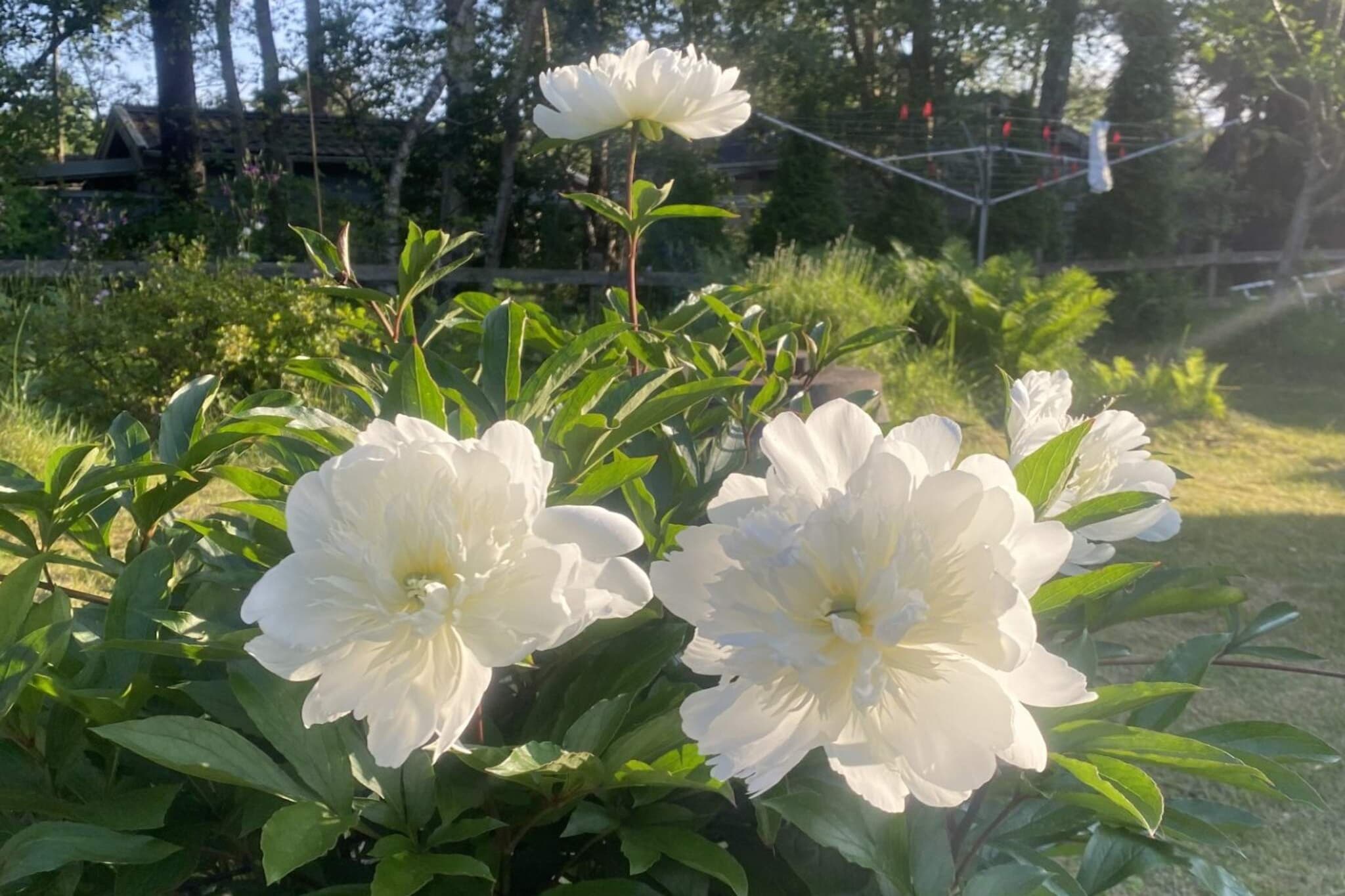 Maison de vacances pour 6 a MELLBYSTRAND - Non tagué